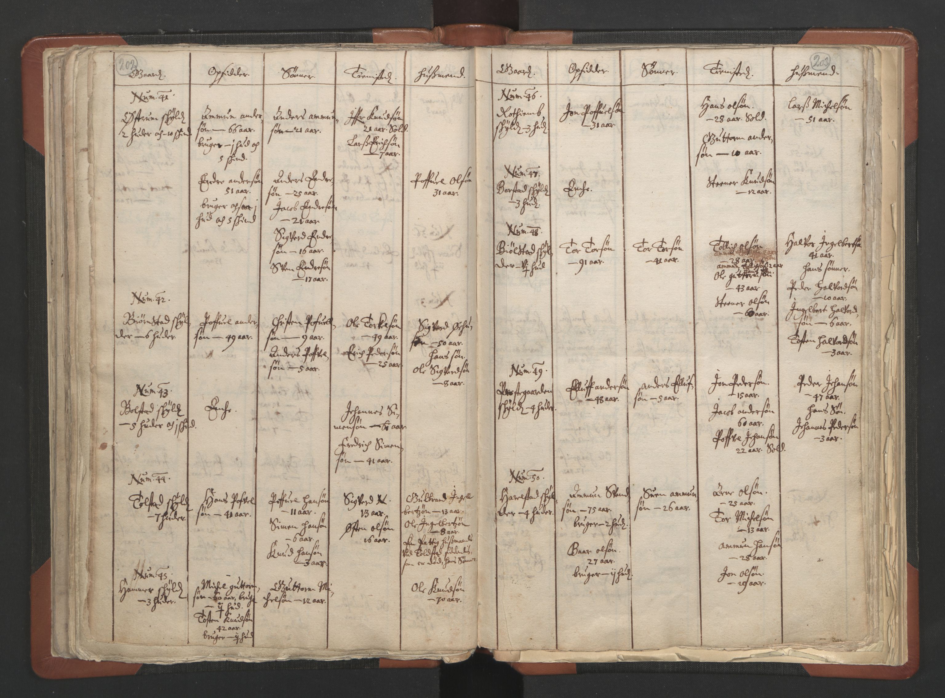 RA, Vicar's Census 1664-1666, no. 6: Gudbrandsdal deanery, 1664-1666, p. 202-203