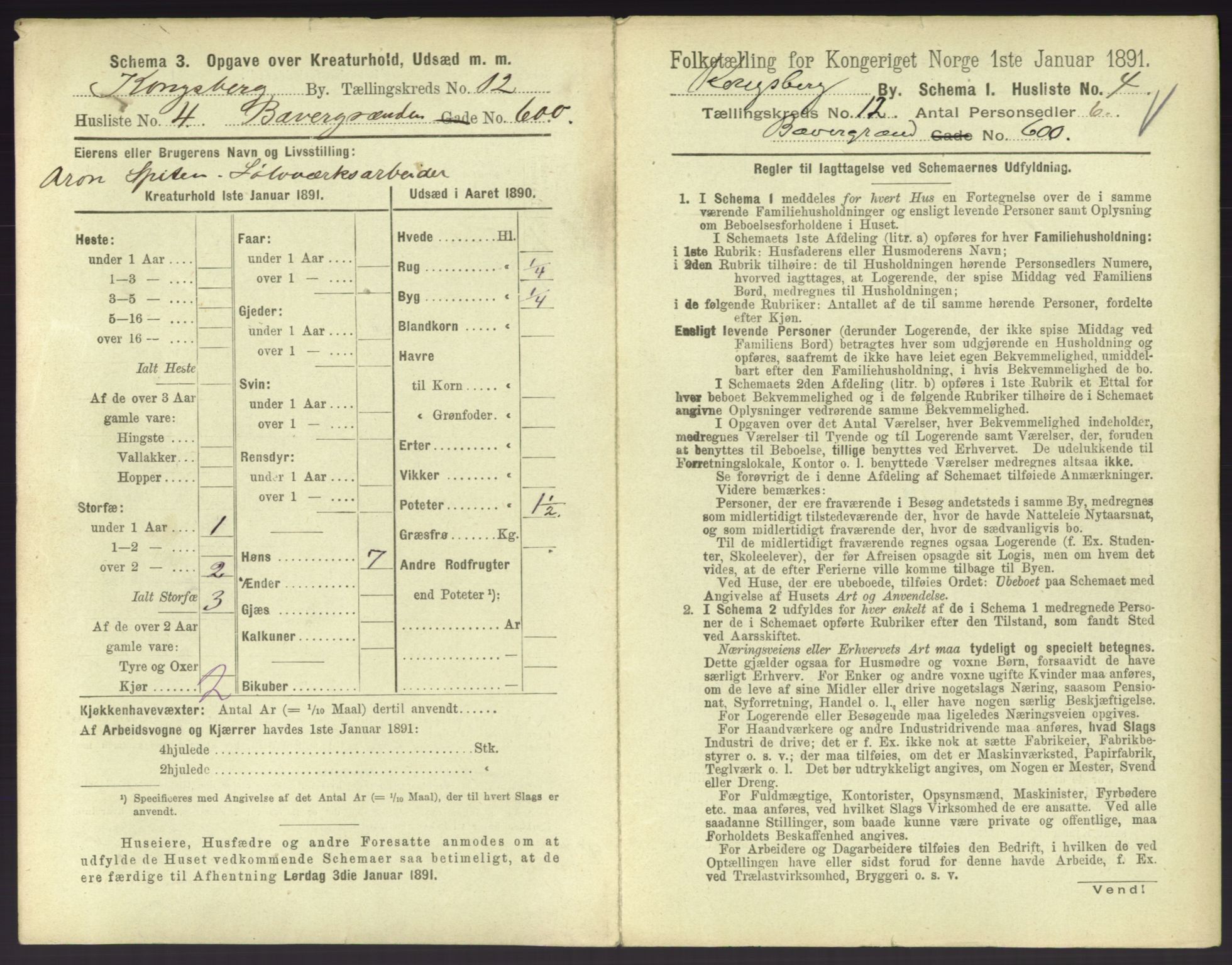 RA, 1891 census for 0604 Kongsberg, 1891, p. 1511