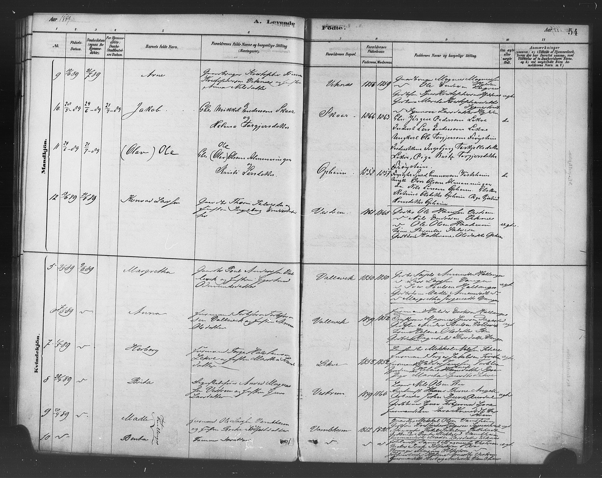 Ulvik sokneprestembete, AV/SAB-A-78801/H/Haa: Parish register (official) no. B 1, 1878-1897, p. 54