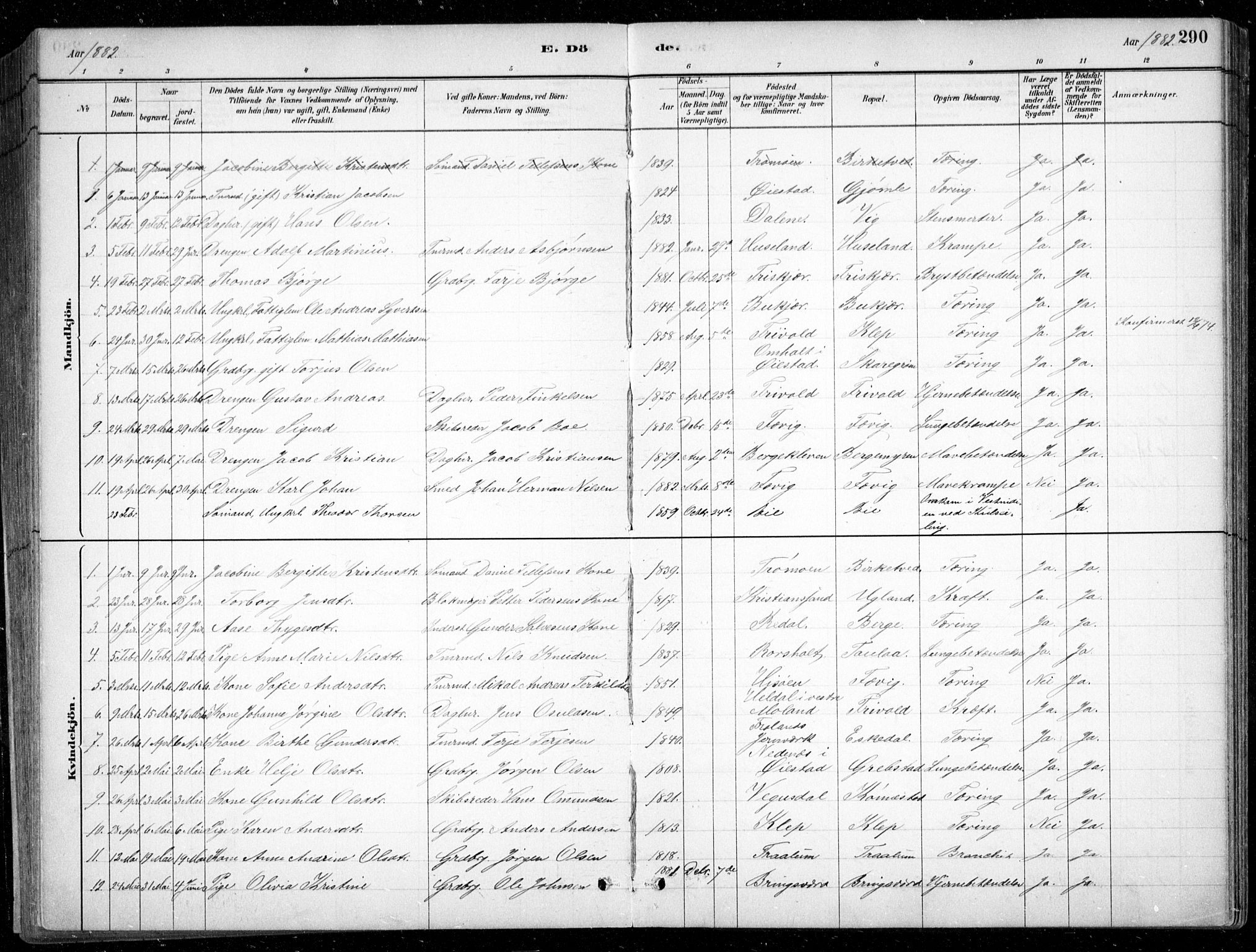 Fjære sokneprestkontor, SAK/1111-0011/F/Fb/L0011: Parish register (copy) no. B 11, 1881-1905, p. 290