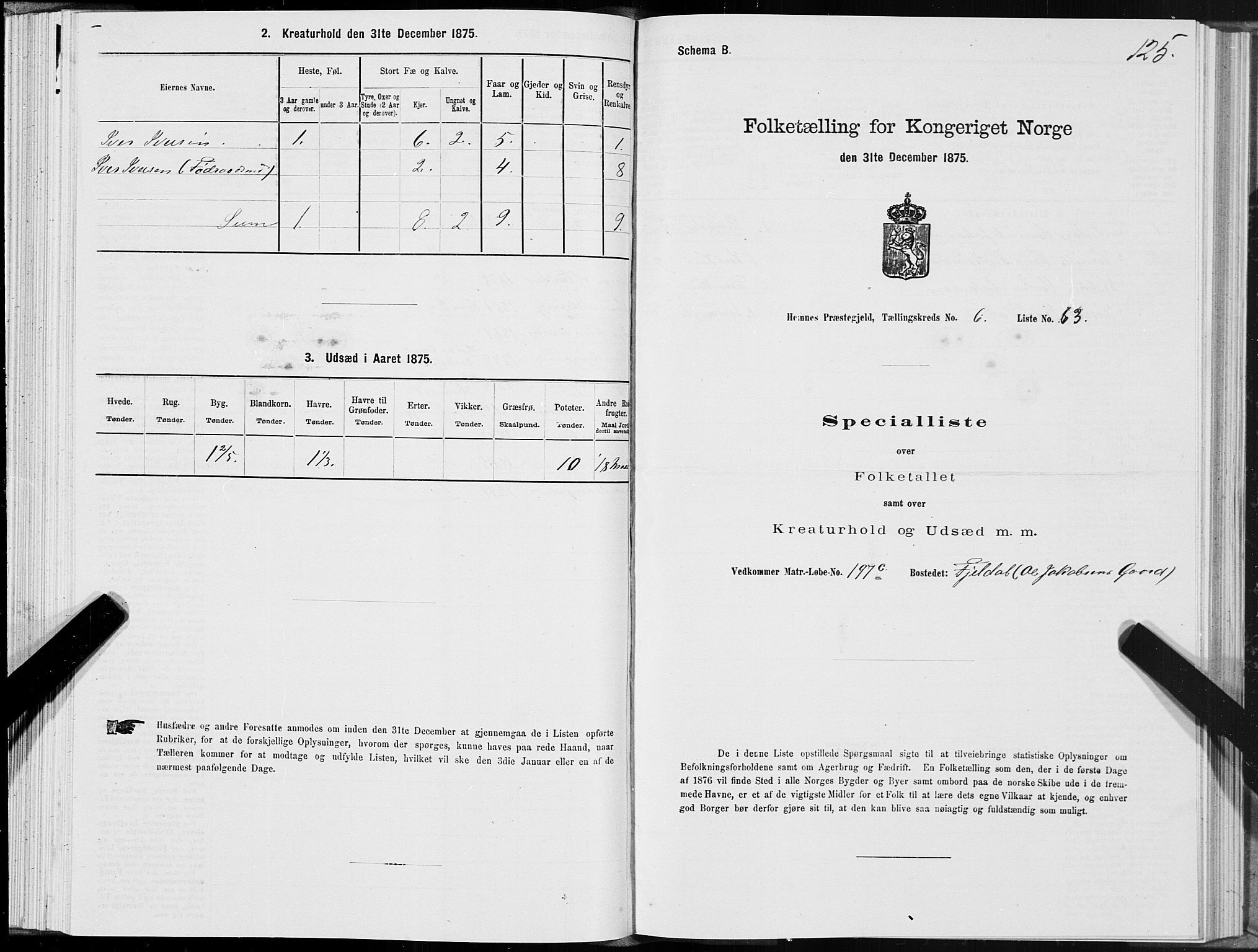 SAT, 1875 census for 1832P Hemnes, 1875, p. 4125