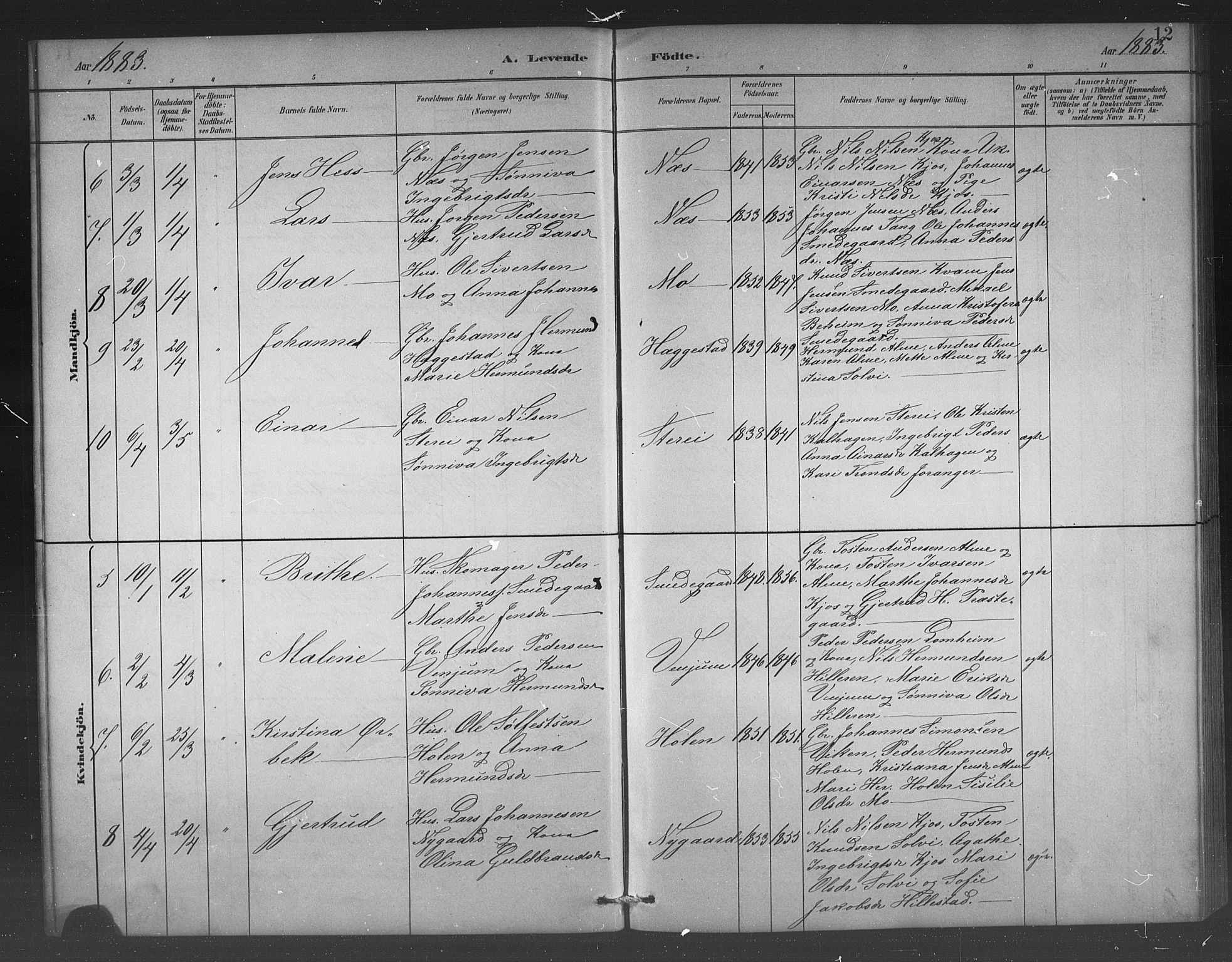 Hafslo sokneprestembete, AV/SAB-A-80301/H/Hab/Habb/L0001: Parish register (copy) no. B 1, 1882-1908, p. 12