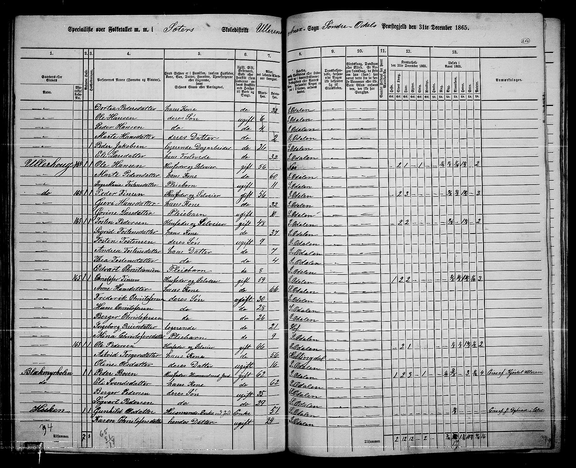 RA, 1865 census for Sør-Odal, 1865, p. 220