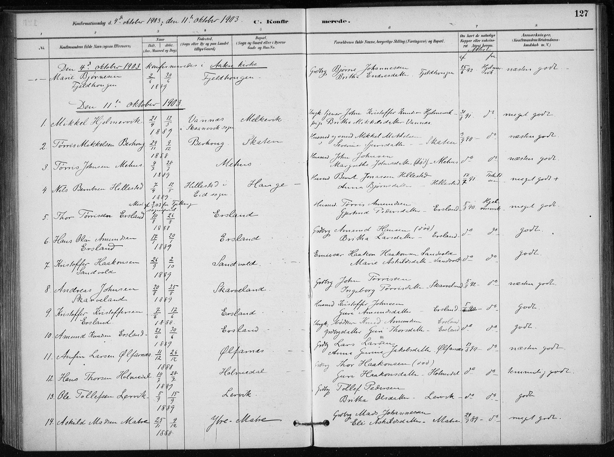 Skånevik sokneprestembete, SAB/A-77801/H/Haa: Parish register (official) no. C  1, 1879-1917, p. 127