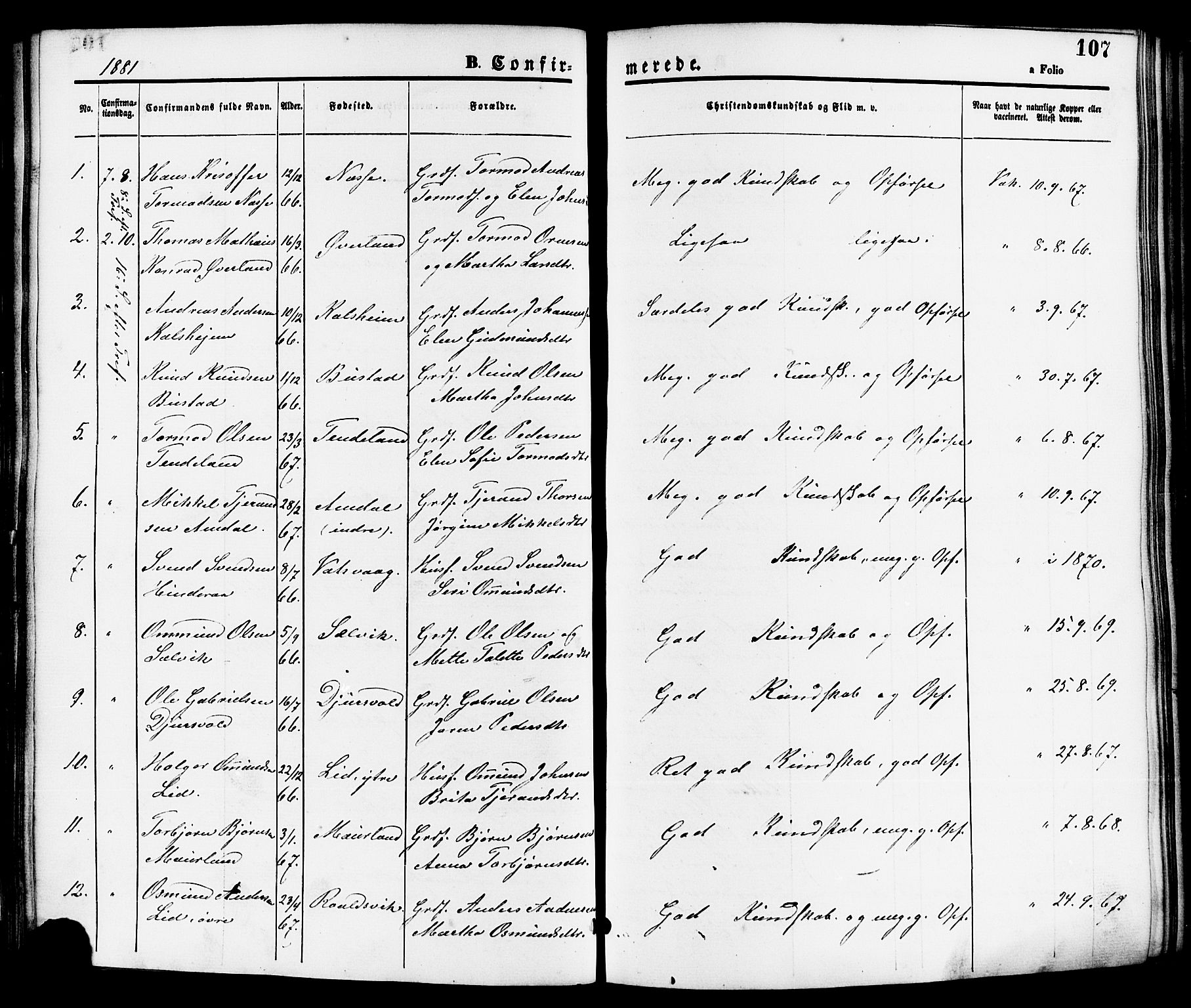 Nedstrand sokneprestkontor, SAST/A-101841/01/IV: Parish register (official) no. A 11, 1877-1887, p. 107