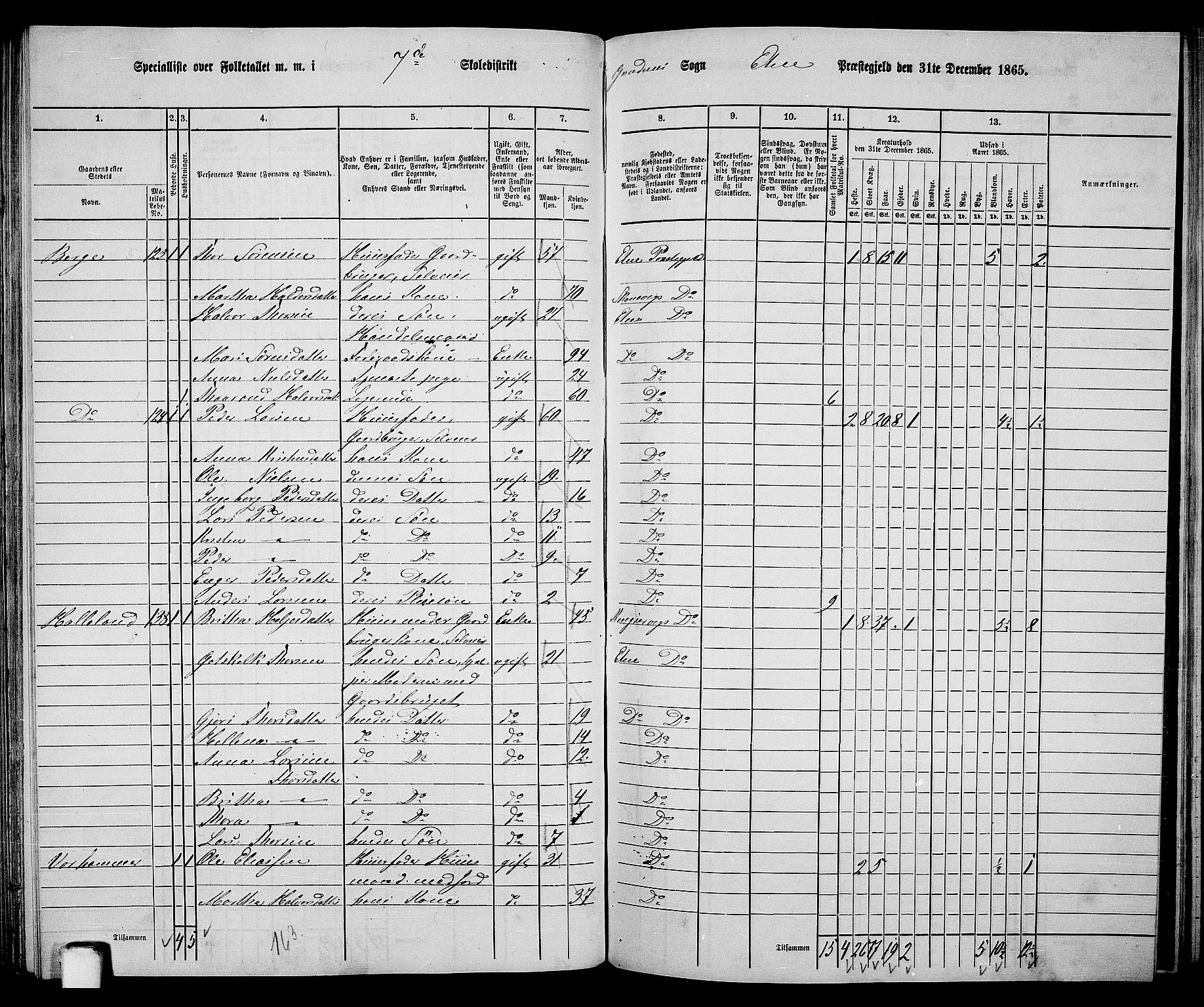 RA, 1865 census for Etne, 1865, p. 91