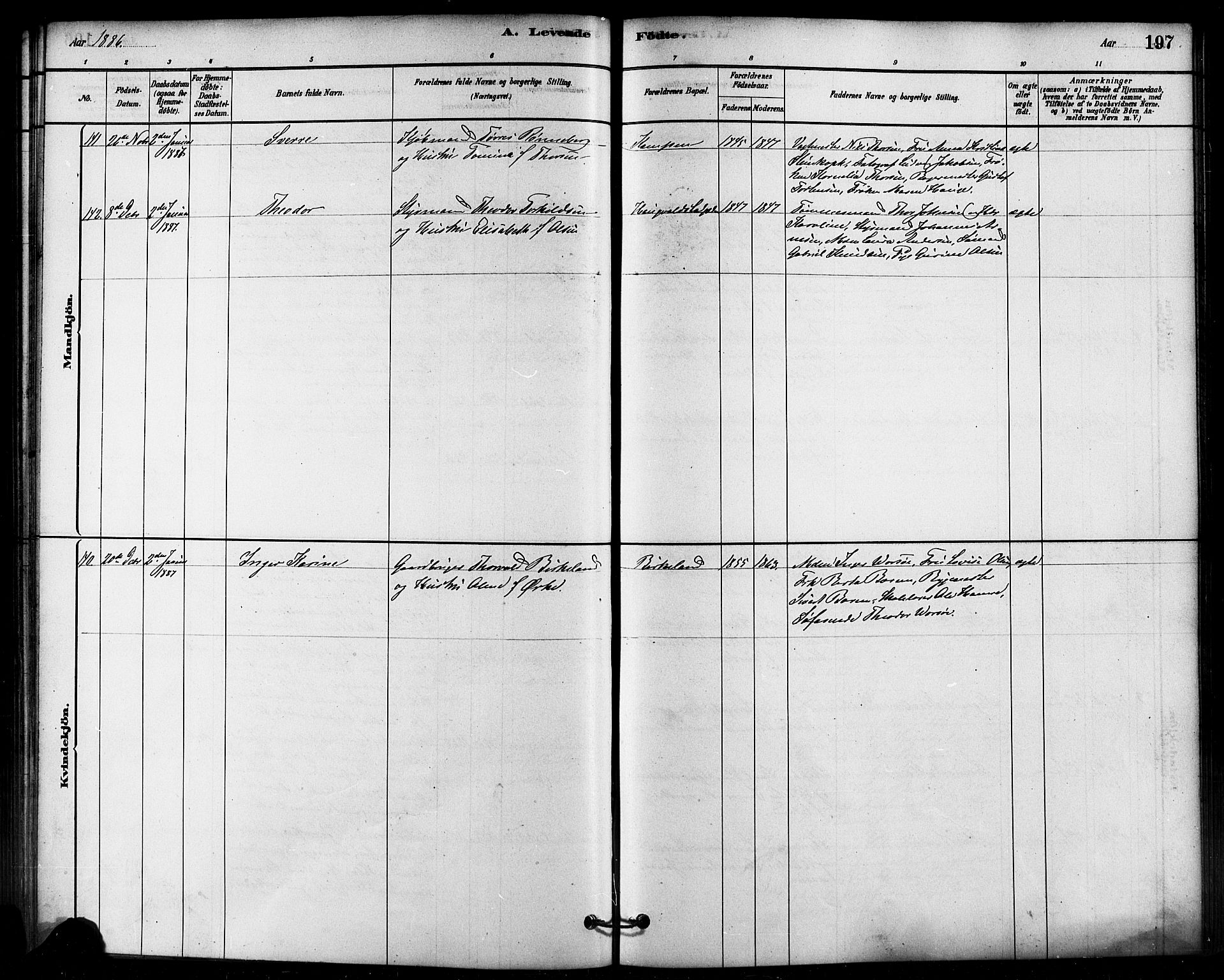 Domkirken sokneprestkontor, AV/SAST-A-101812/001/30/30BB/L0015: Parish register (copy) no. B 15, 1880-1891, p. 197