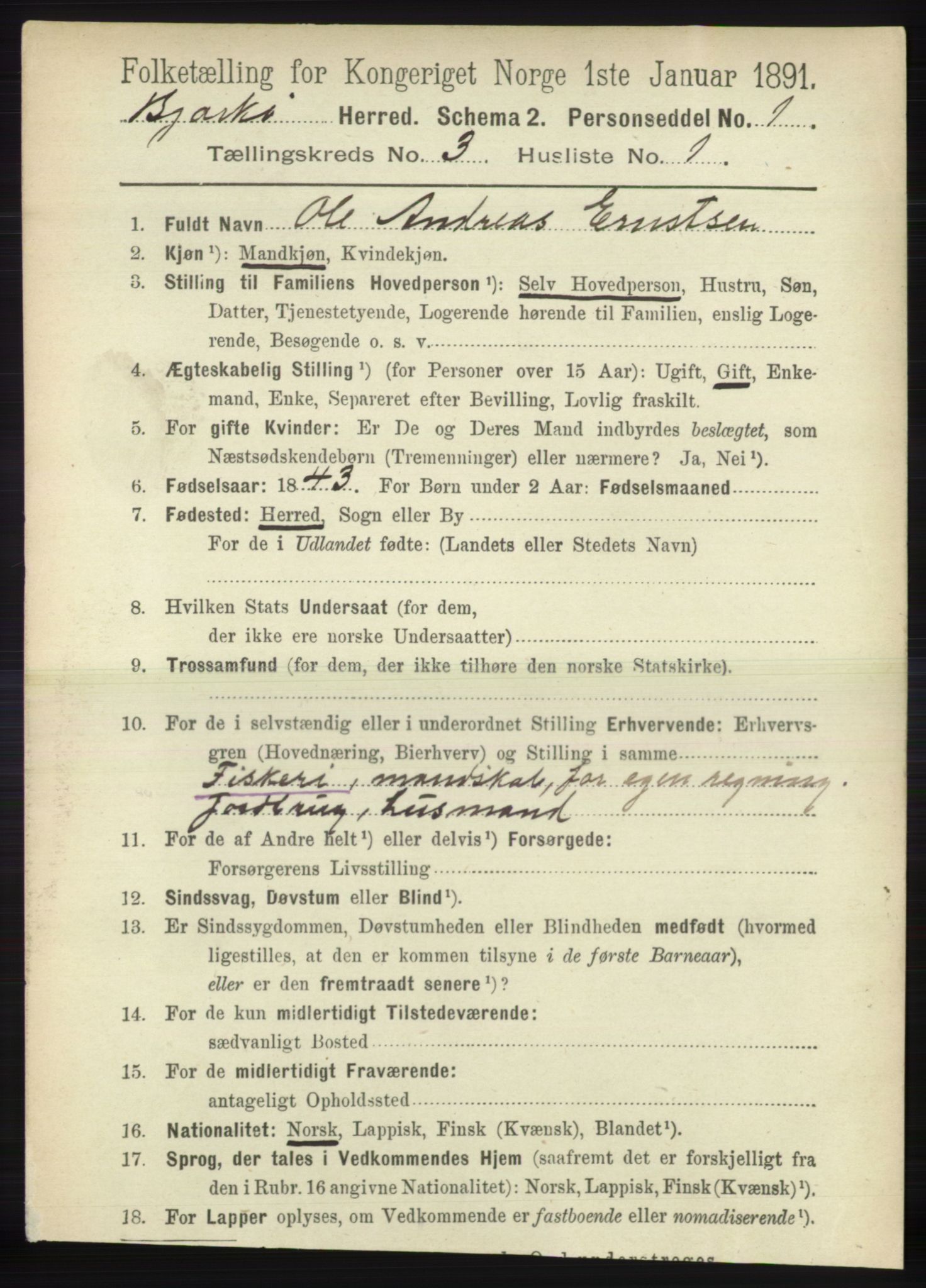 RA, 1891 census for 1915 Bjarkøy, 1891, p. 1541