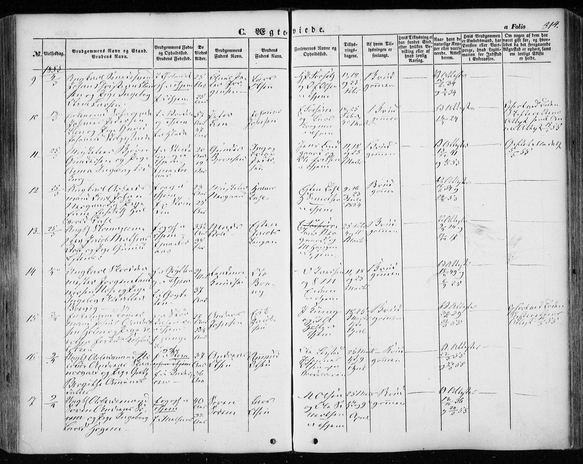 Ministerialprotokoller, klokkerbøker og fødselsregistre - Sør-Trøndelag, SAT/A-1456/601/L0051: Parish register (official) no. 601A19, 1848-1857, p. 314