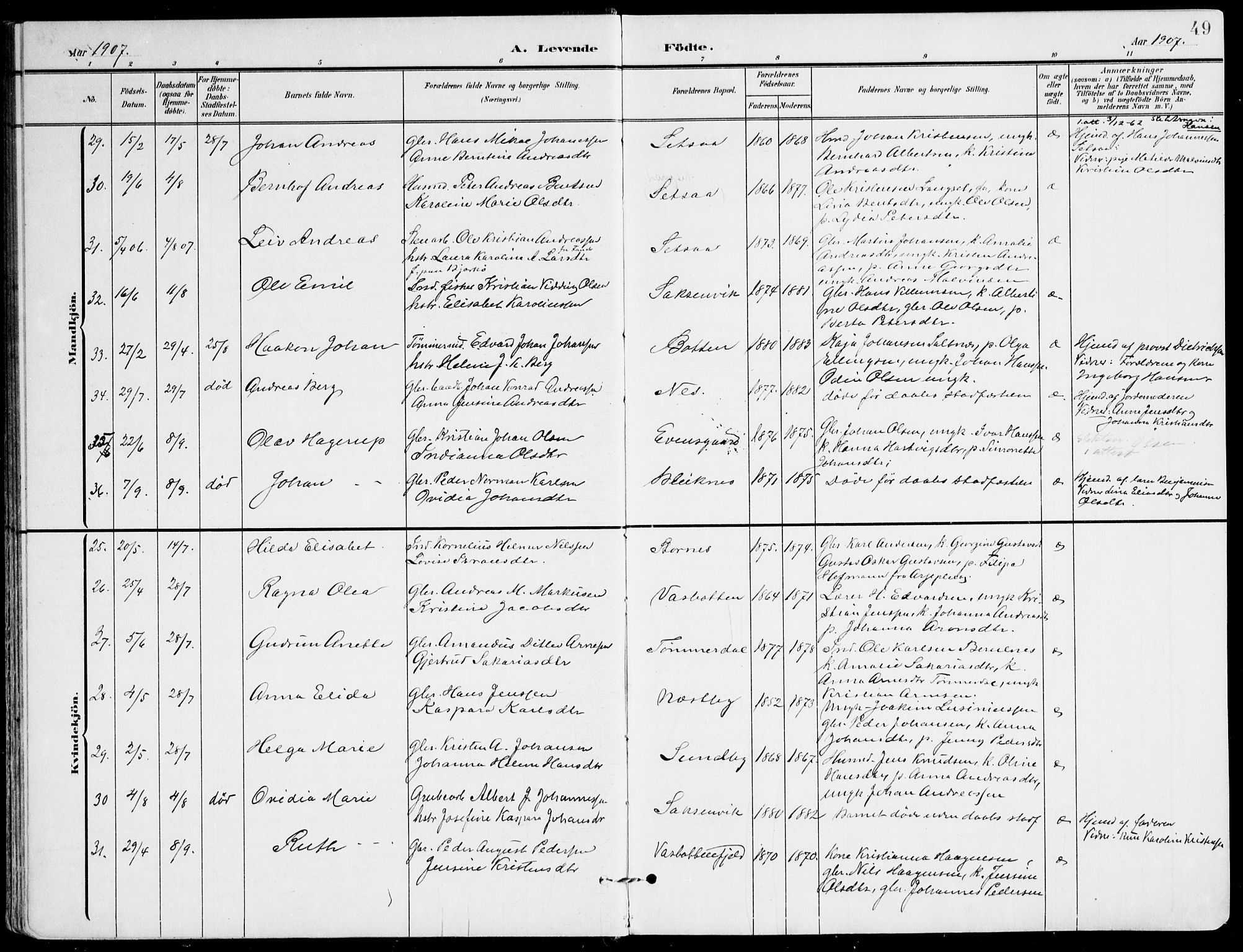 Ministerialprotokoller, klokkerbøker og fødselsregistre - Nordland, SAT/A-1459/847/L0672: Parish register (official) no. 847A12, 1902-1919, p. 49