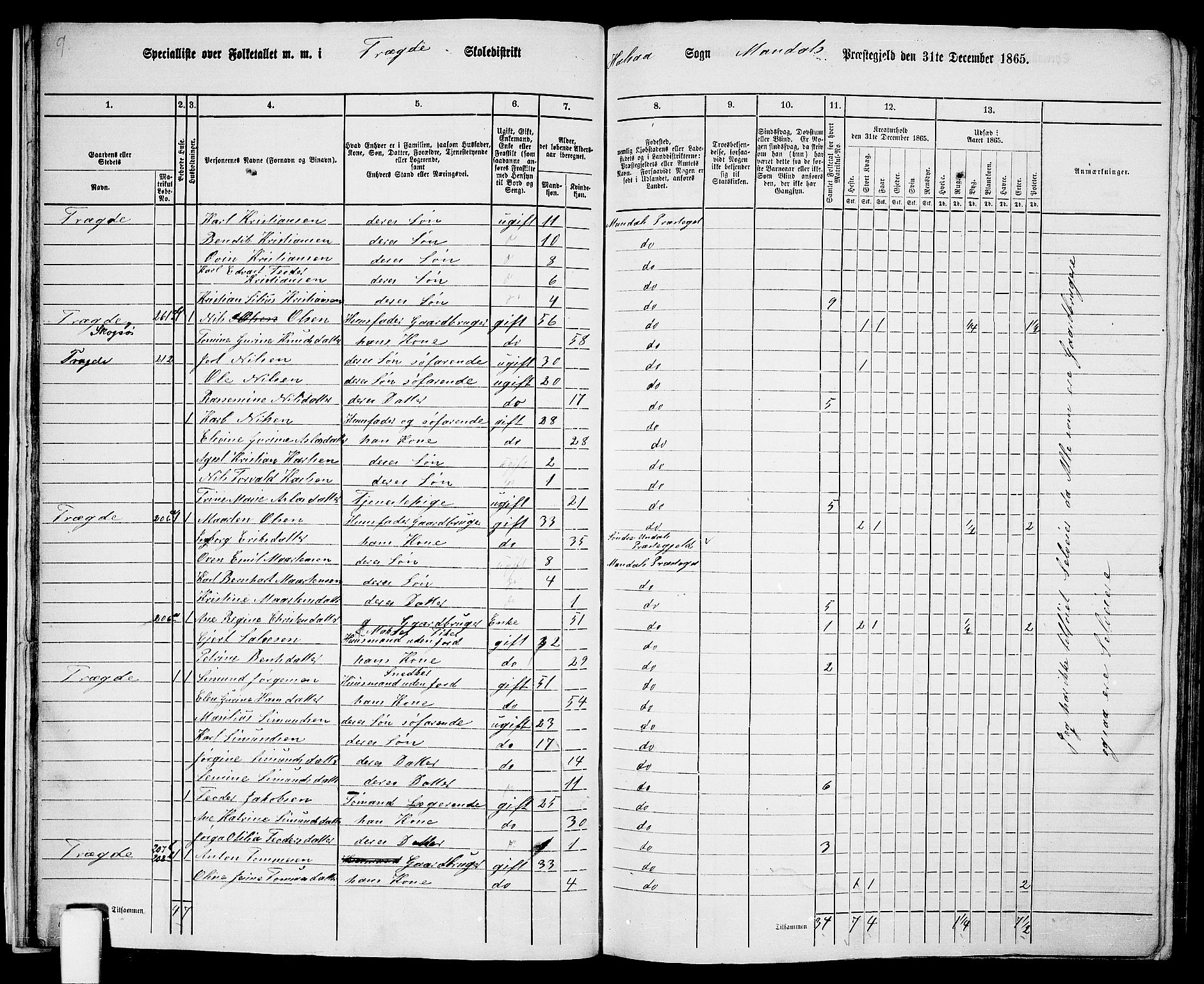 RA, 1865 census for Mandal/Halse og Harkmark, 1865, p. 25