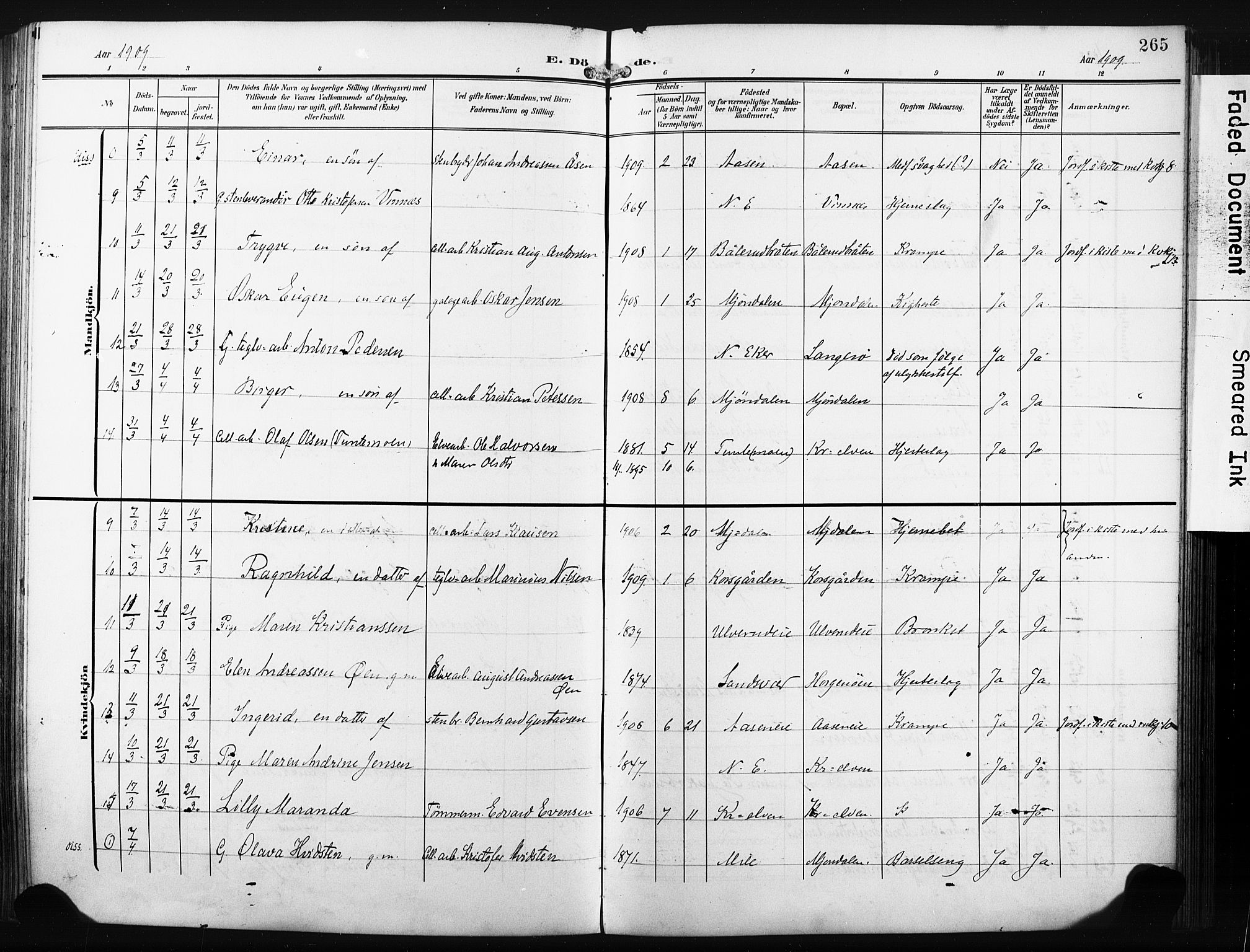 Nedre Eiker kirkebøker, SAKO/A-612/F/Fa/L0006: Parish register (official) no. 6, 1906-1912, p. 265