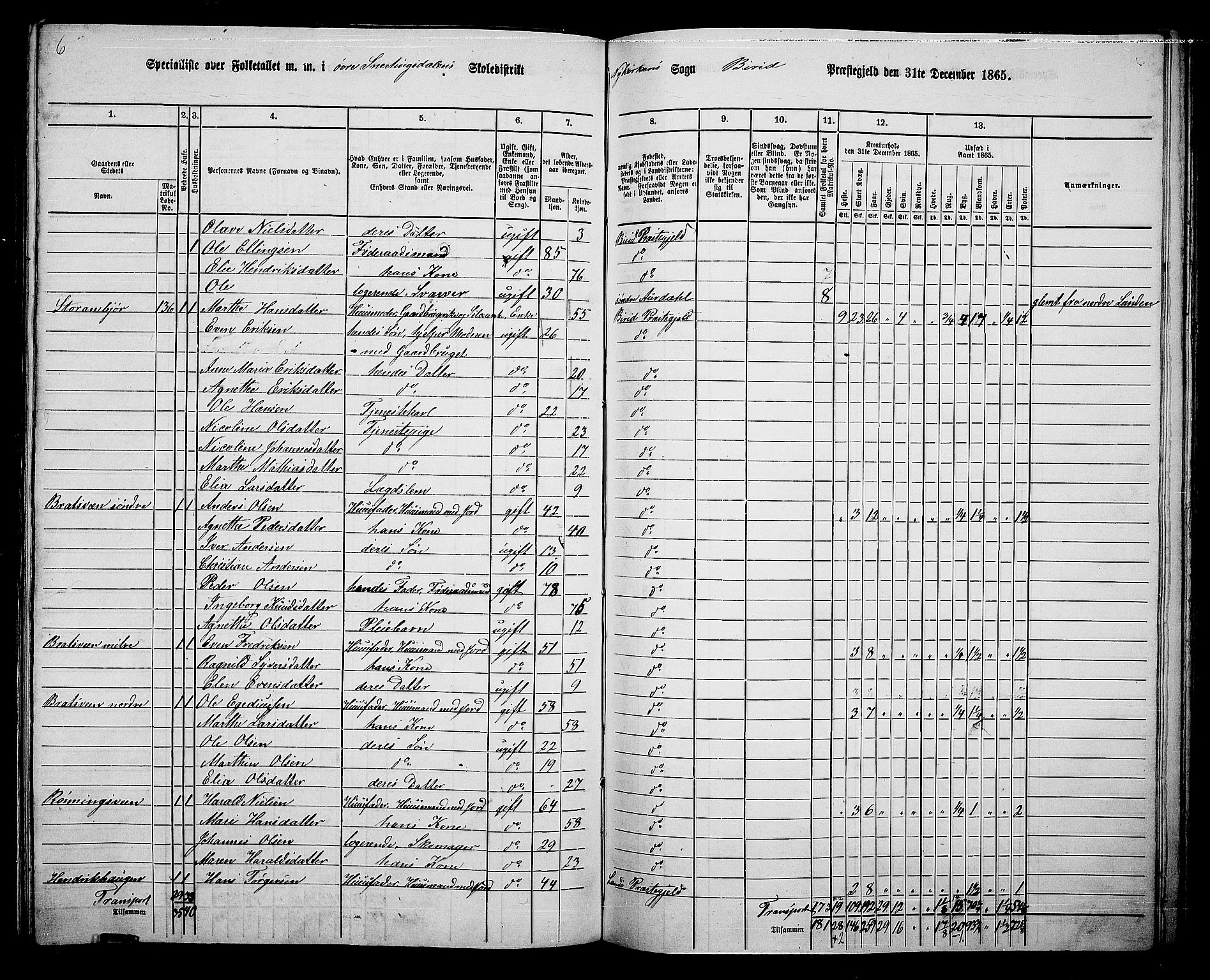 RA, 1865 census for Biri, 1865, p. 135