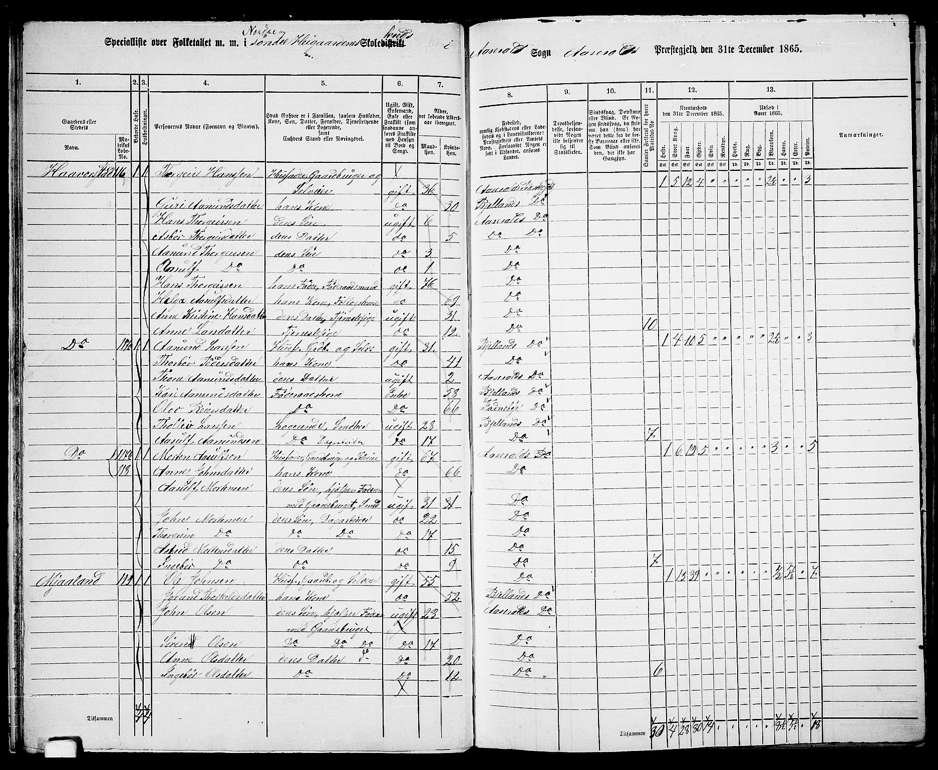 RA, 1865 census for Åseral, 1865, p. 23