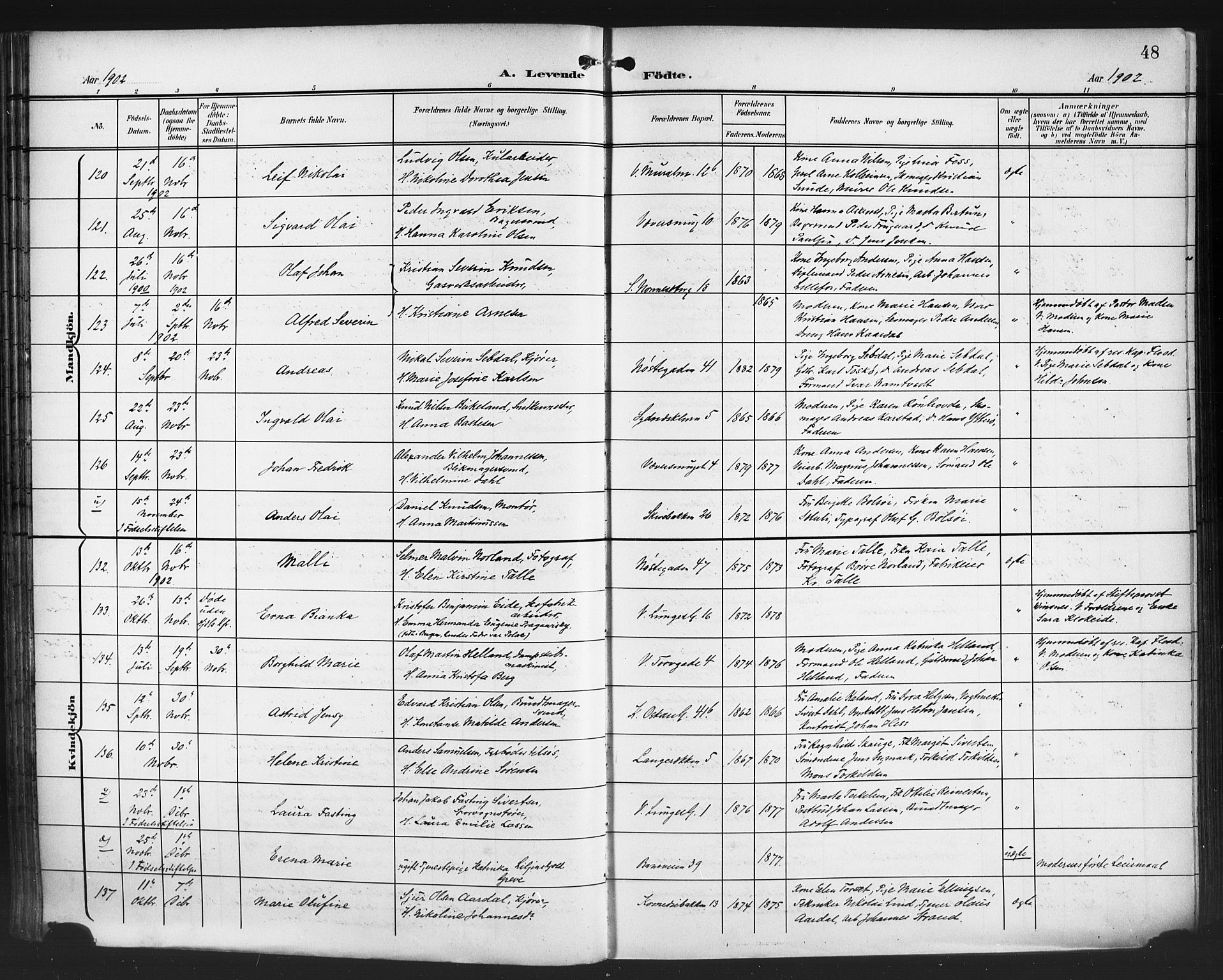 Domkirken sokneprestembete, AV/SAB-A-74801/H/Hab/L0017: Parish register (copy) no. B 10, 1900-1915, p. 48