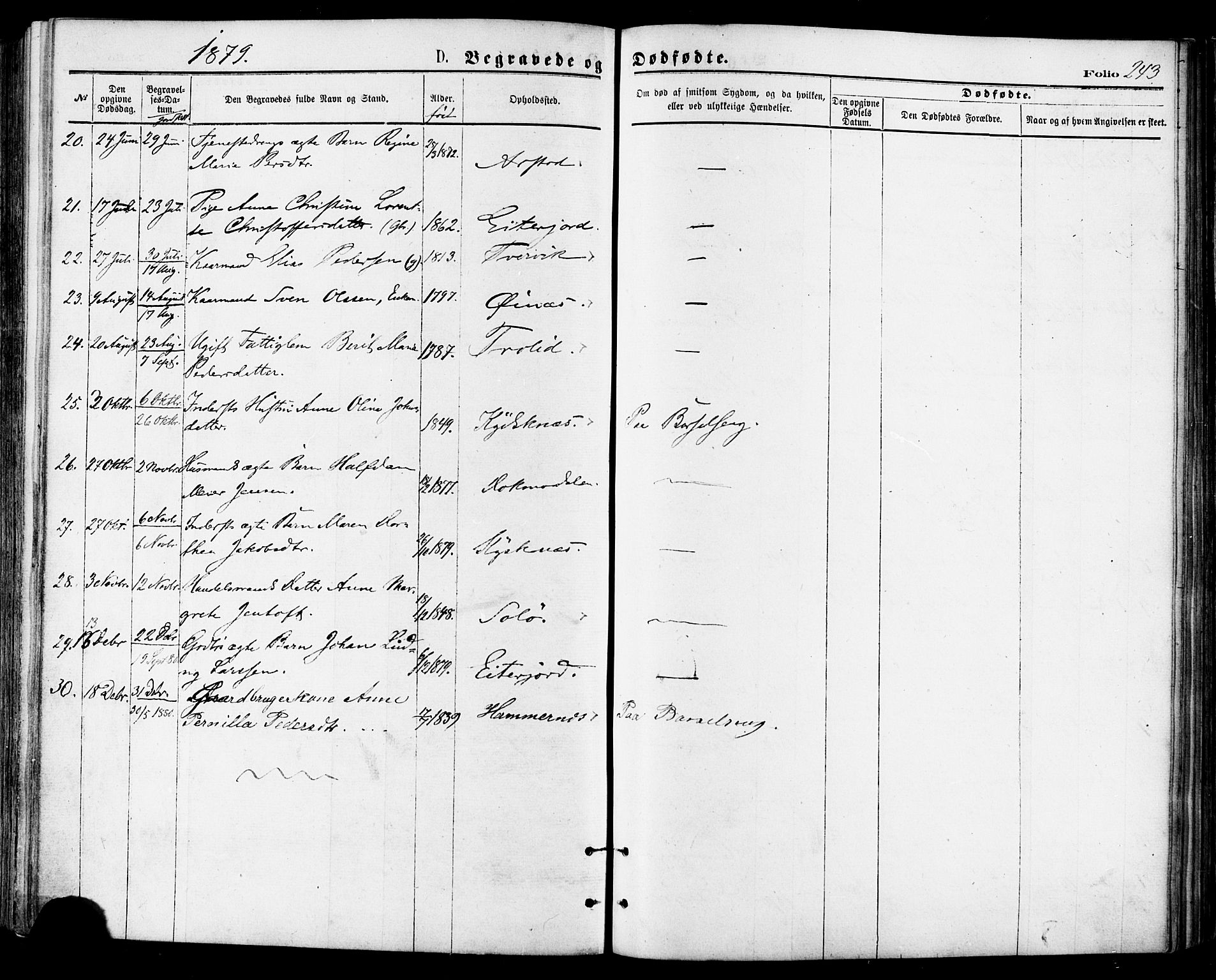 Ministerialprotokoller, klokkerbøker og fødselsregistre - Nordland, AV/SAT-A-1459/846/L0645: Parish register (official) no. 846A03, 1872-1886, p. 243