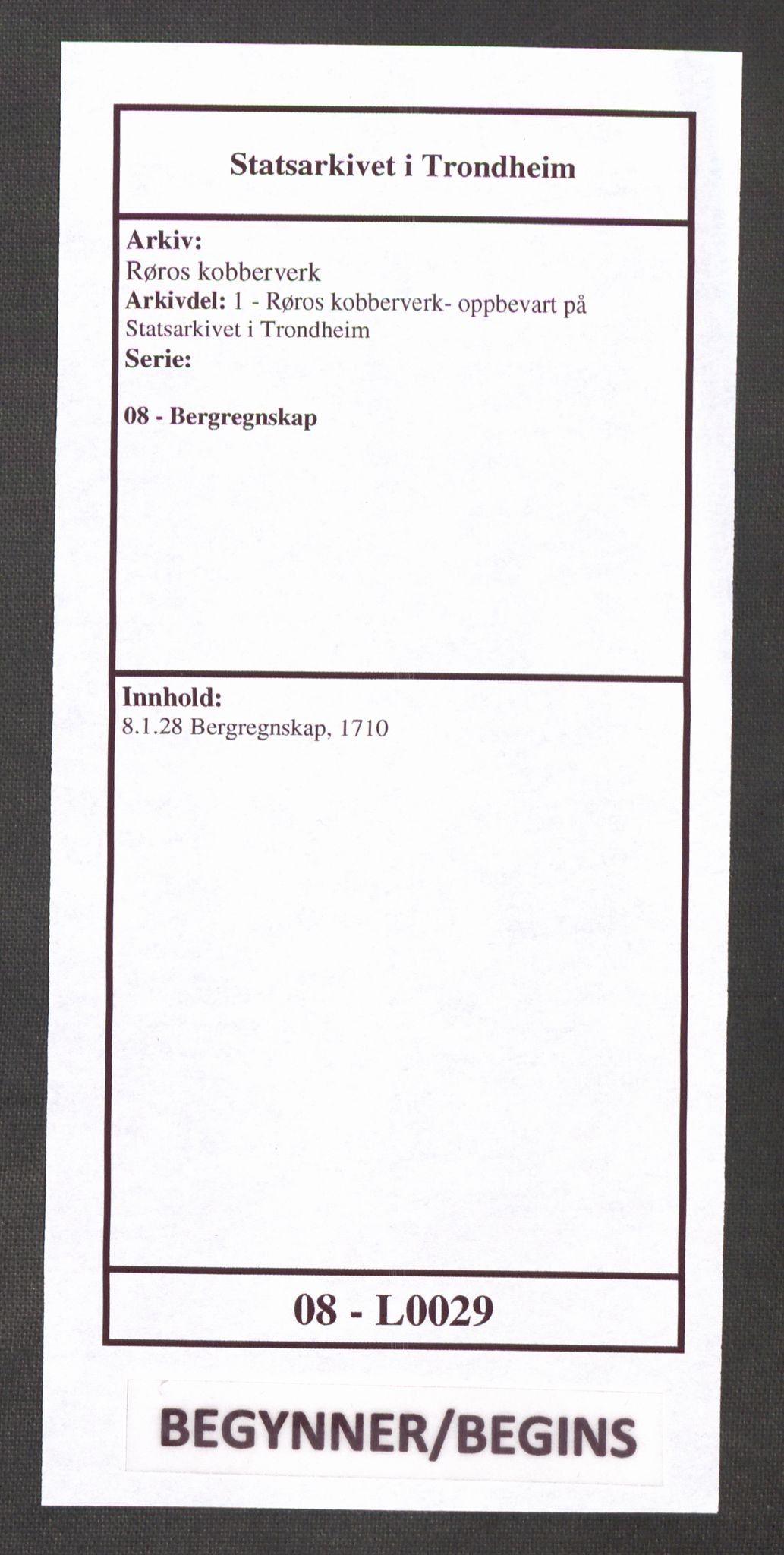 Røros kobberverk, SAT/PA-0211/1/08/L0029: 8.1.28 Bergregnskap, 1710