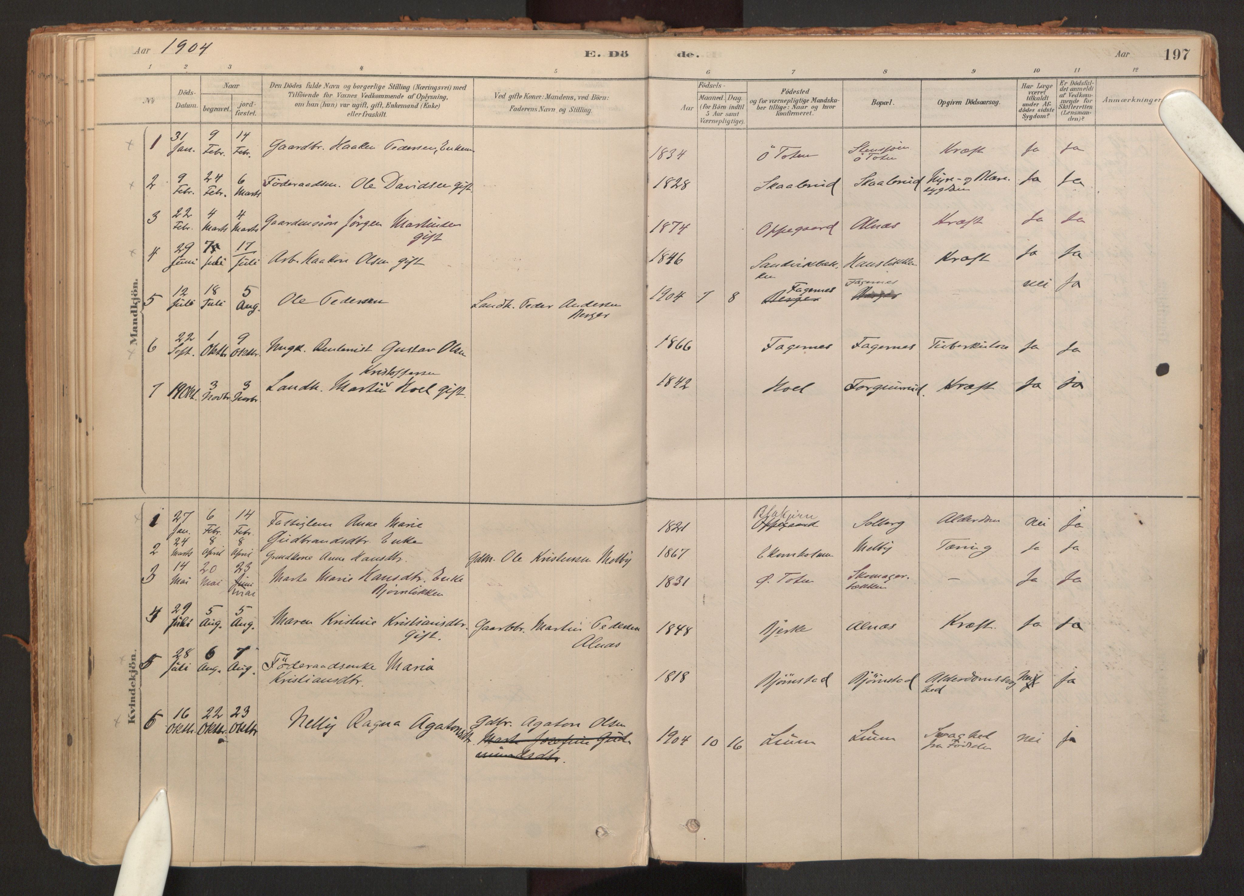 Hurdal prestekontor Kirkebøker, SAO/A-10889/F/Fb/L0003: Parish register (official) no. II 3, 1878-1920, p. 197