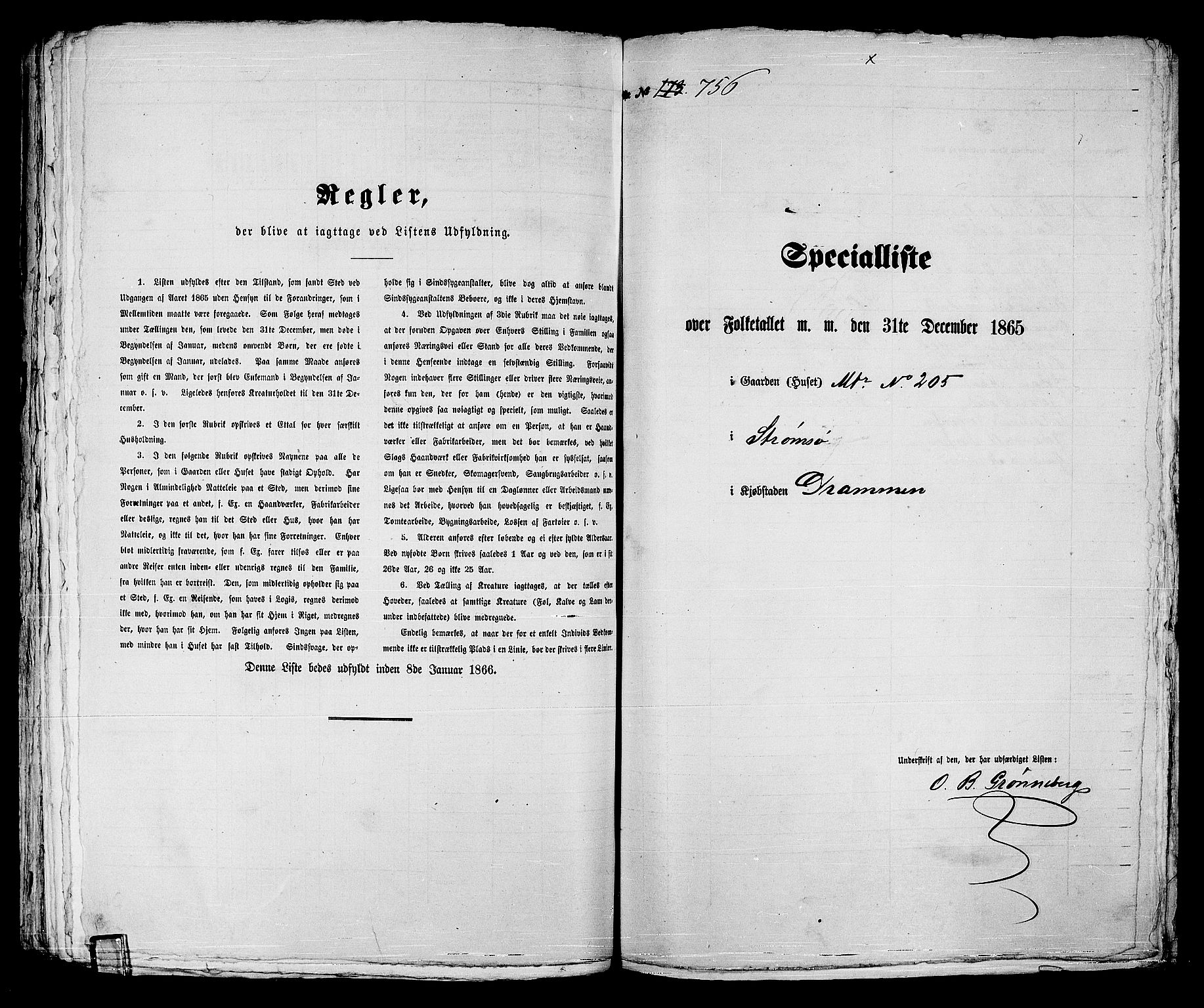 RA, 1865 census for Strømsø in Drammen, 1865, p. 325