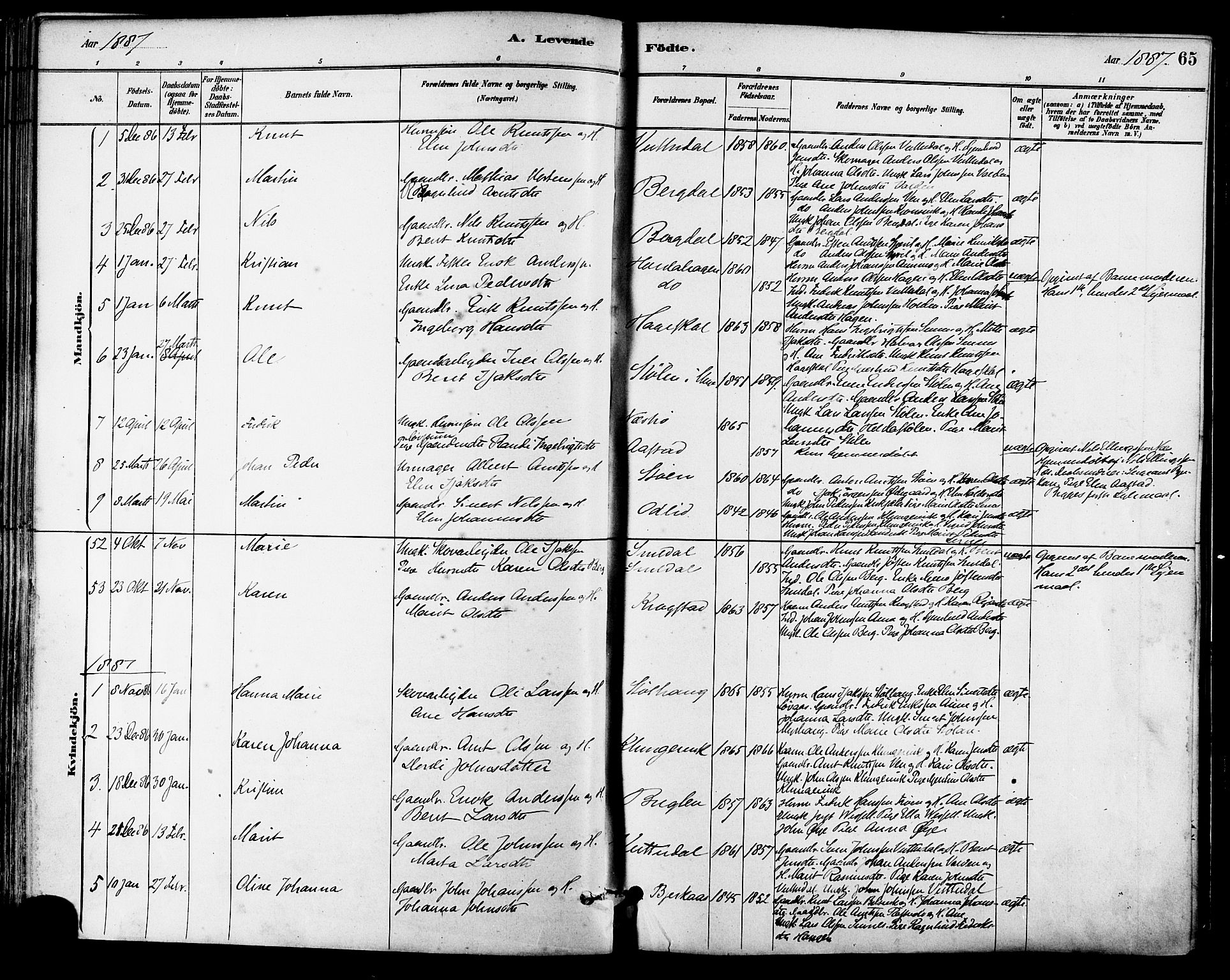 Ministerialprotokoller, klokkerbøker og fødselsregistre - Sør-Trøndelag, AV/SAT-A-1456/630/L0496: Parish register (official) no. 630A09, 1879-1895, p. 65