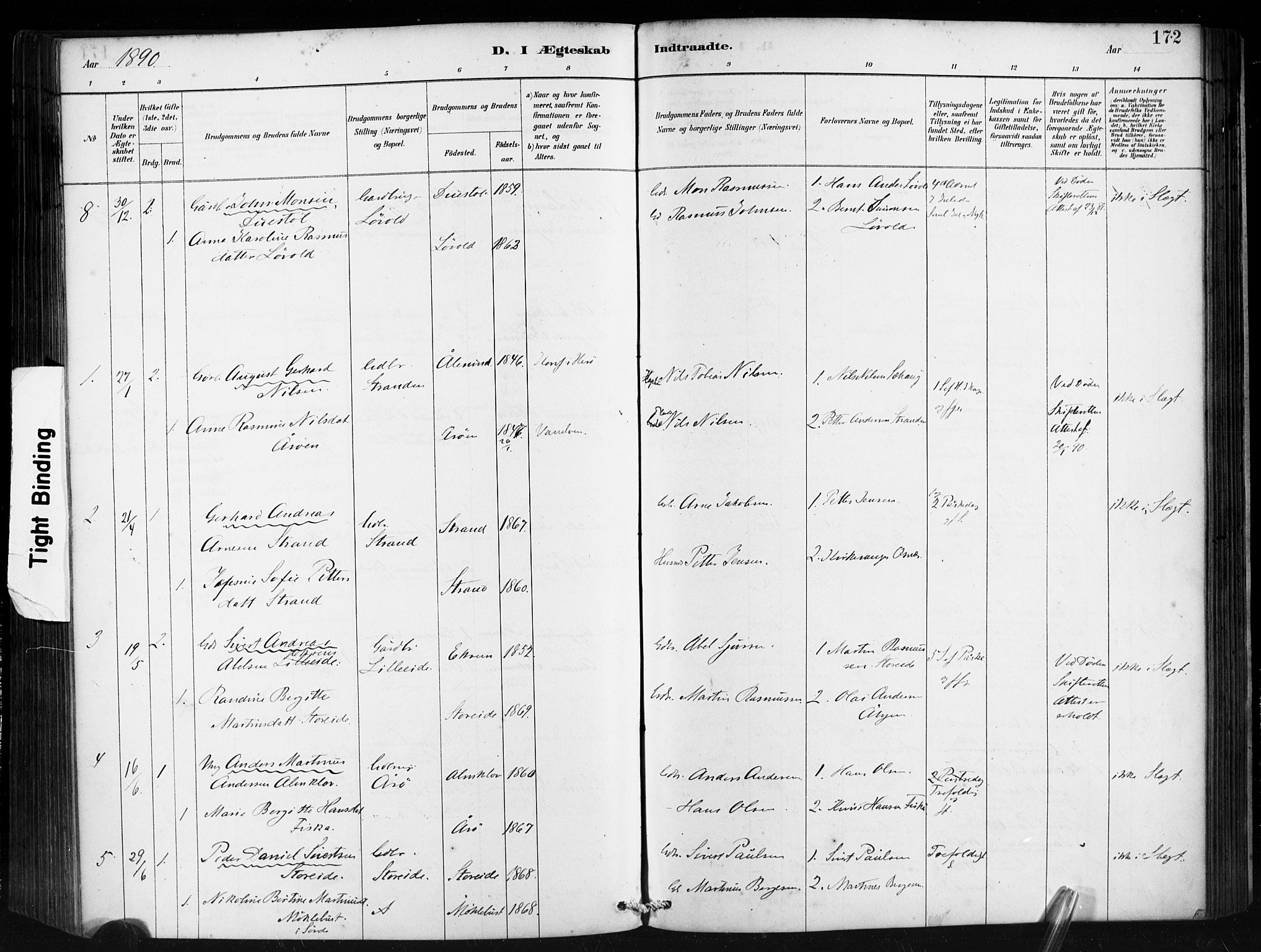 Ministerialprotokoller, klokkerbøker og fødselsregistre - Møre og Romsdal, AV/SAT-A-1454/501/L0008: Parish register (official) no. 501A08, 1885-1901, p. 172