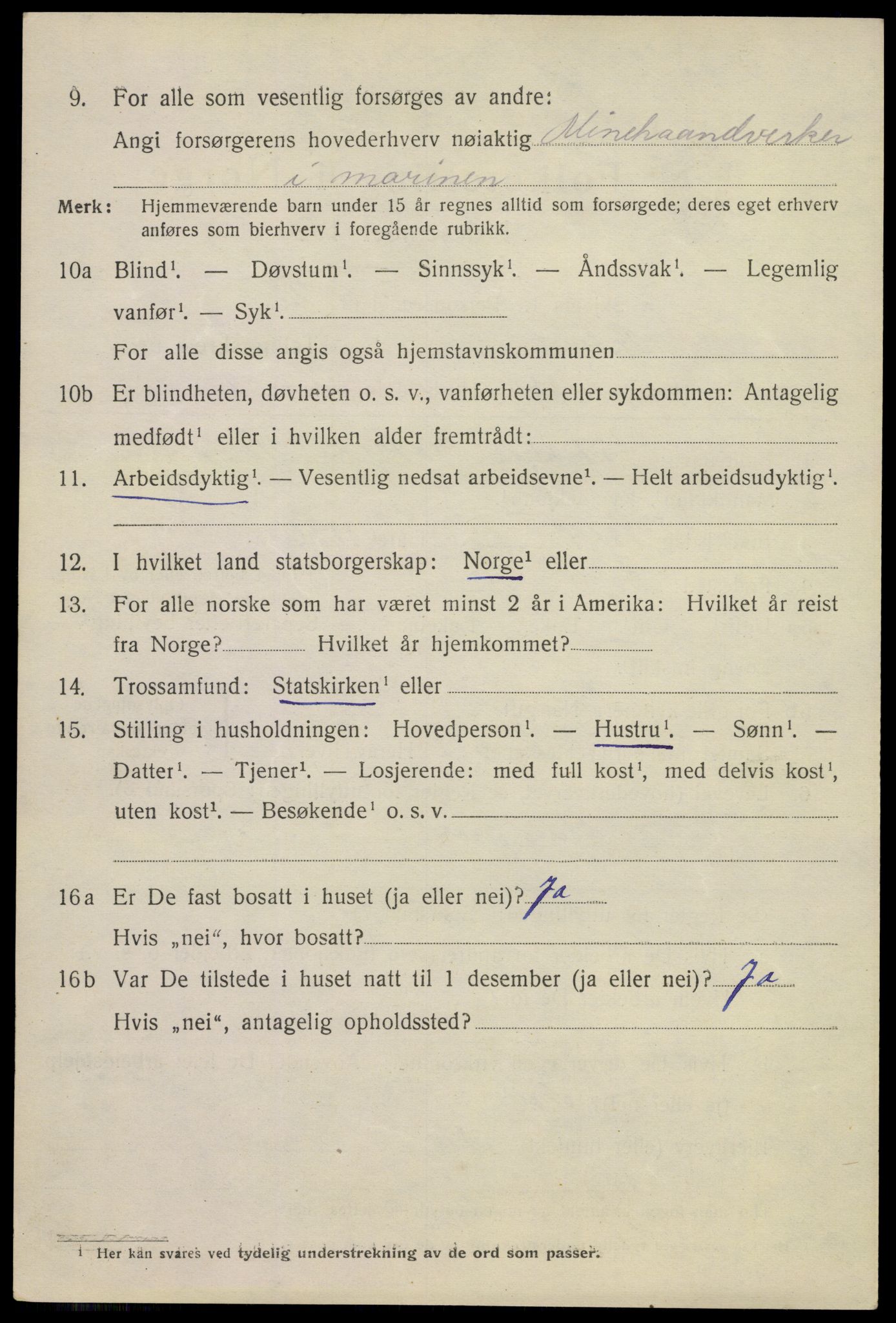 SAKO, 1920 census for Horten, 1920, p. 9132