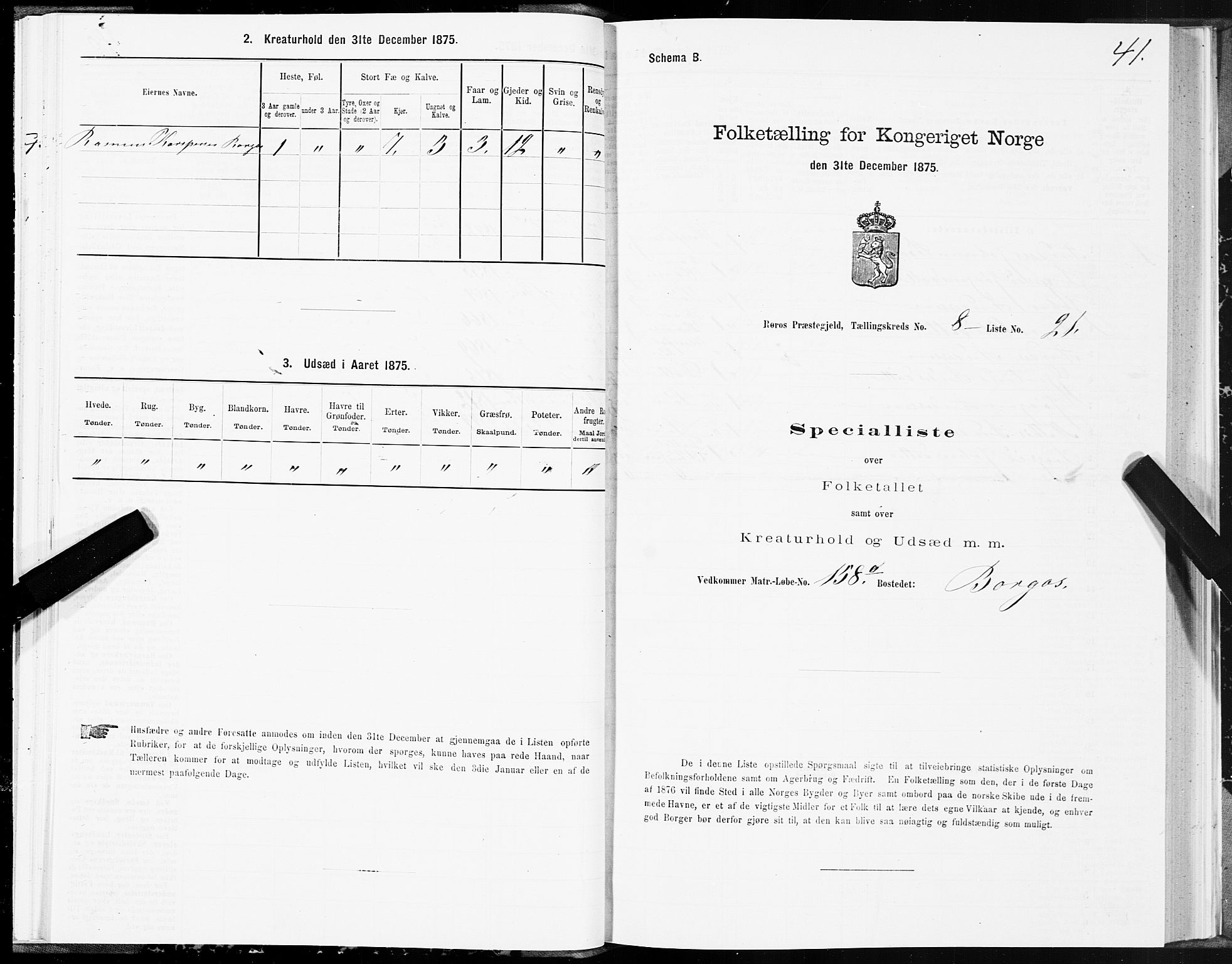 SAT, 1875 census for 1640P Røros, 1875, p. 5041