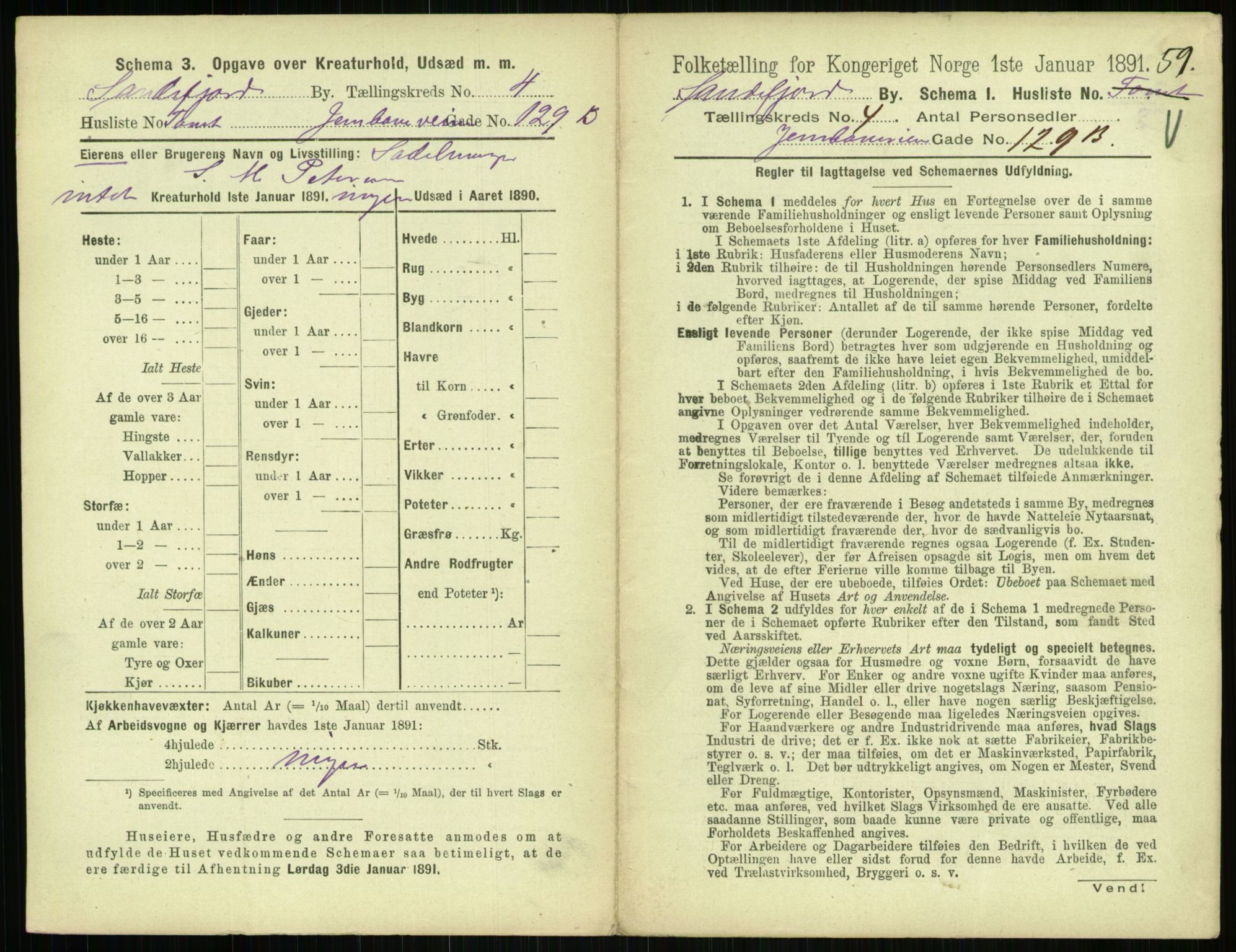 RA, 1891 census for 0706 Sandefjord, 1891, p. 503