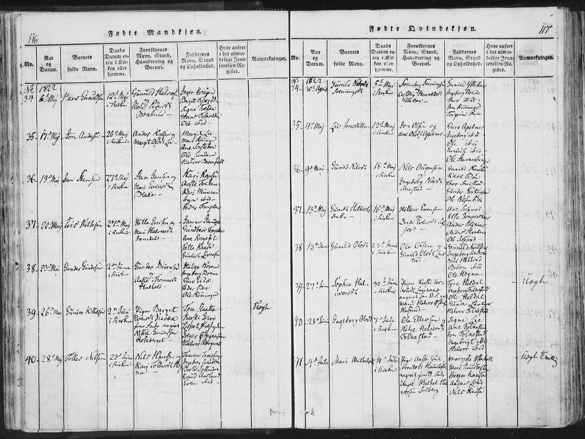 Bø kirkebøker, AV/SAKO-A-257/F/Fa/L0006: Parish register (official) no. 6, 1815-1831, p. 116-117