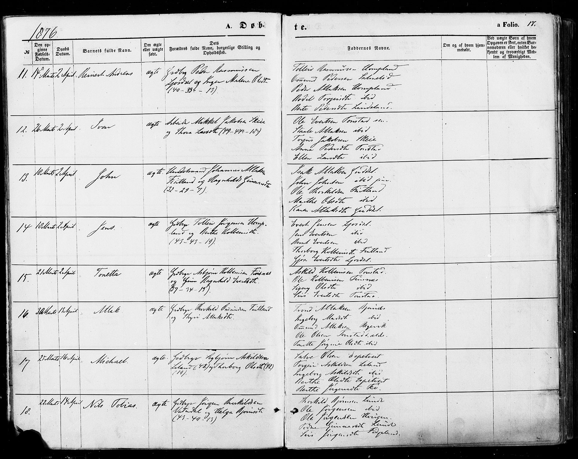 Sirdal sokneprestkontor, SAK/1111-0036/F/Fa/Fab/L0003: Parish register (official) no. A 3, 1874-1886, p. 17