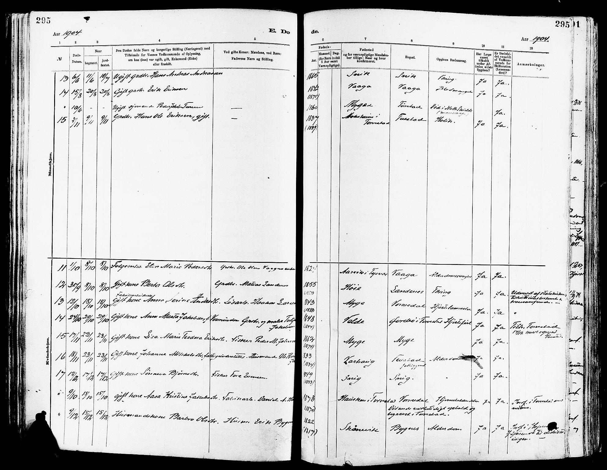 Avaldsnes sokneprestkontor, SAST/A -101851/H/Ha/Haa/L0015: Parish register (official) no. A 15, 1880-1906, p. 295