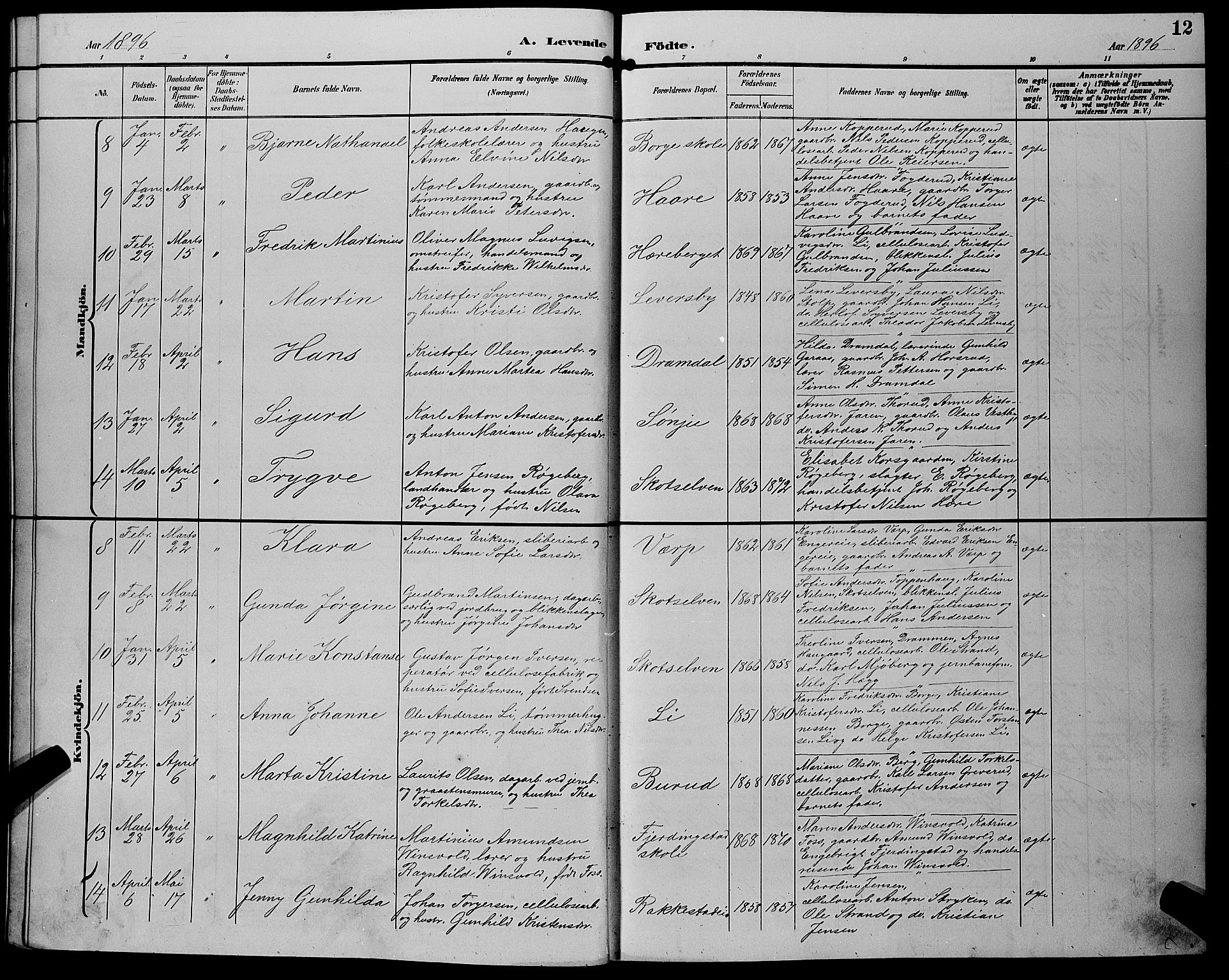 Eiker kirkebøker, AV/SAKO-A-4/G/Gb/L0004: Parish register (copy) no. II 4, 1894-1900, p. 12