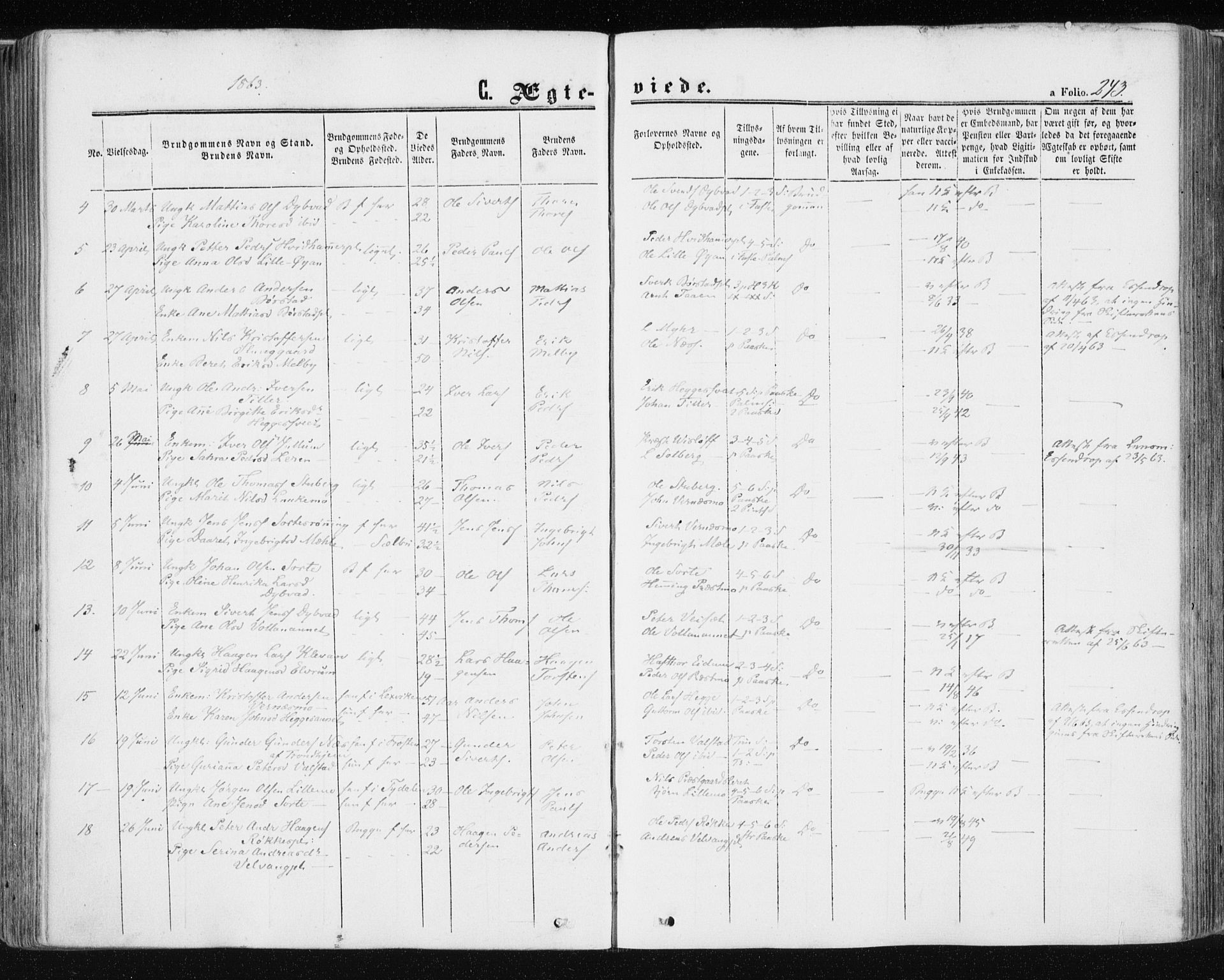 Ministerialprotokoller, klokkerbøker og fødselsregistre - Nord-Trøndelag, AV/SAT-A-1458/709/L0075: Parish register (official) no. 709A15, 1859-1870, p. 243