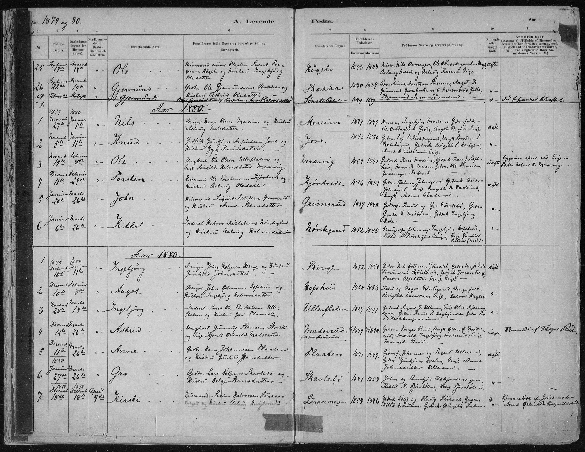 Tinn kirkebøker, AV/SAKO-A-308/F/Fa/L0007: Parish register (official) no. I 7, 1878-1922, p. 6