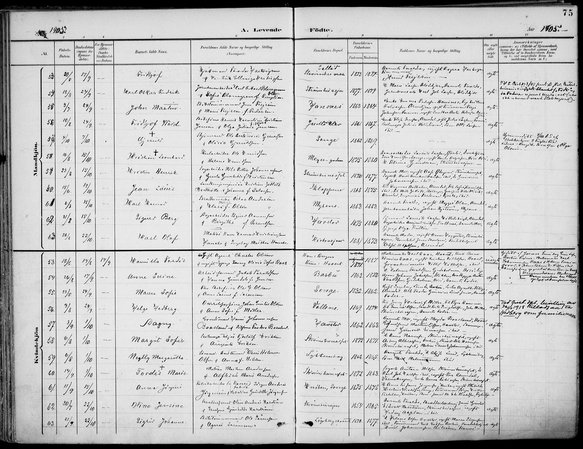 Barbu sokneprestkontor, AV/SAK-1111-0003/F/Fa/L0005: Parish register (official) no. A 5, 1899-1909, p. 75