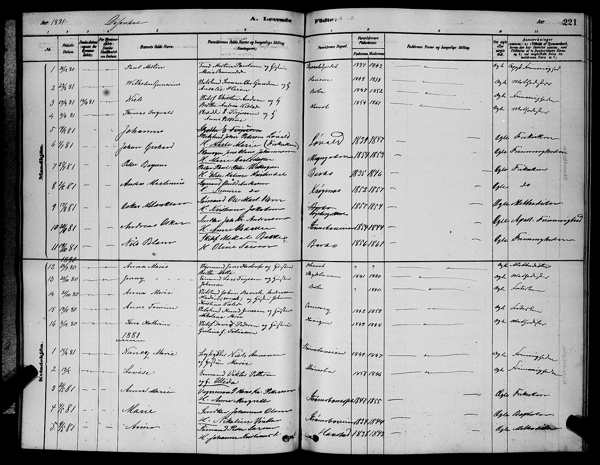 Barbu sokneprestkontor, AV/SAK-1111-0003/F/Fb/L0001: Parish register (copy) no. B 1, 1878-1890, p. 221