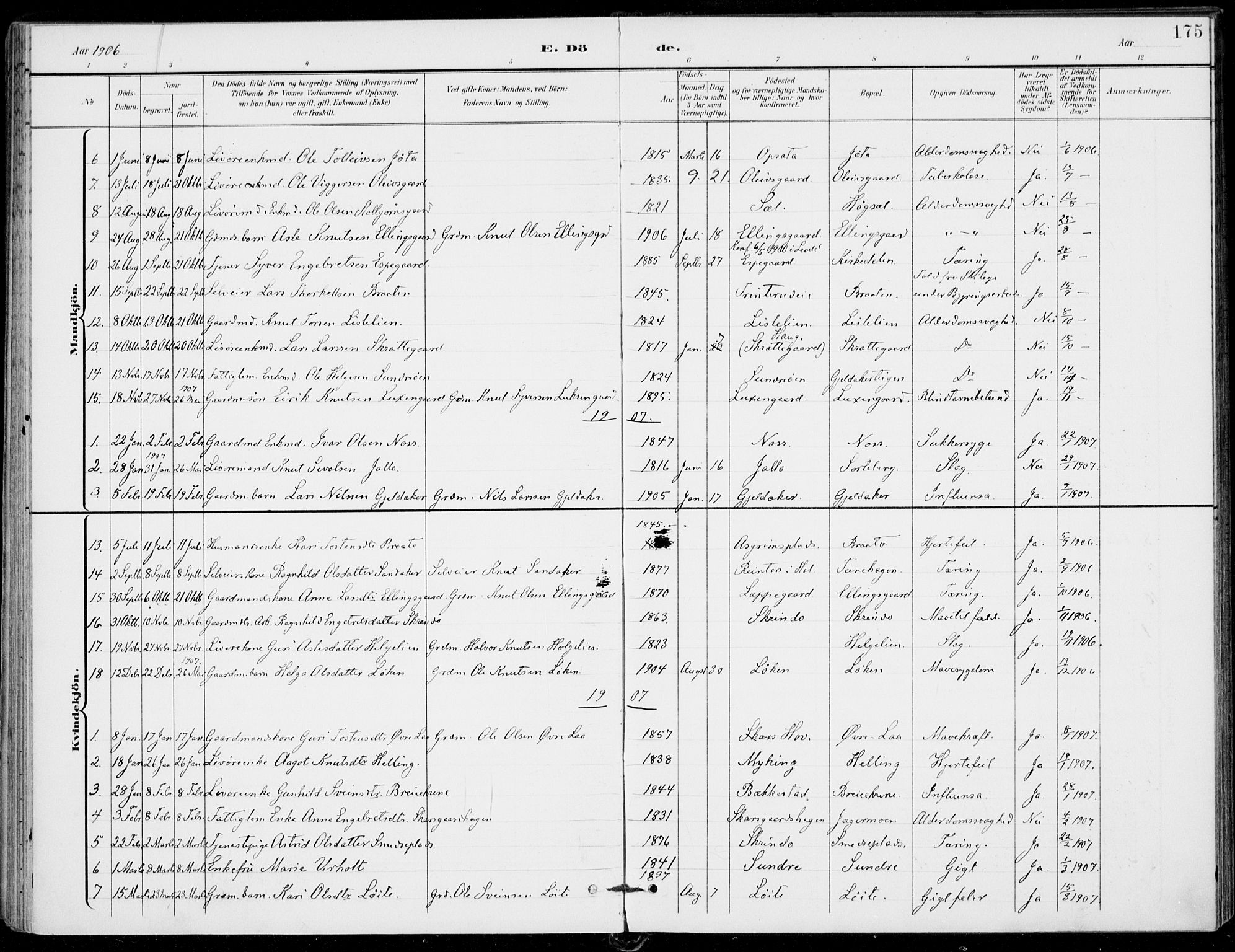 Ål kirkebøker, AV/SAKO-A-249/F/Fa/L0009: Parish register (official) no. I 9, 1897-1915, p. 175