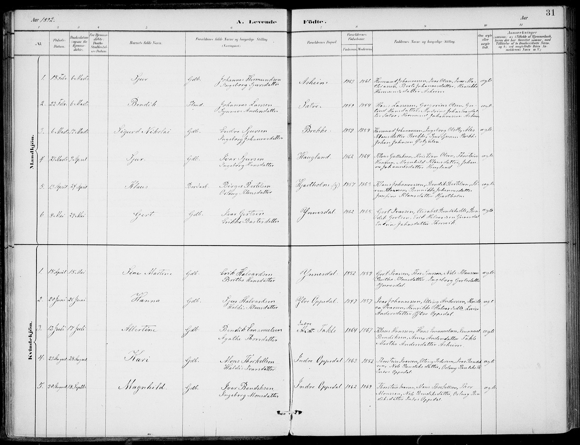 Gulen sokneprestembete, SAB/A-80201/H/Haa/Haac/L0002: Parish register (official) no. C  2, 1882-1914, p. 31