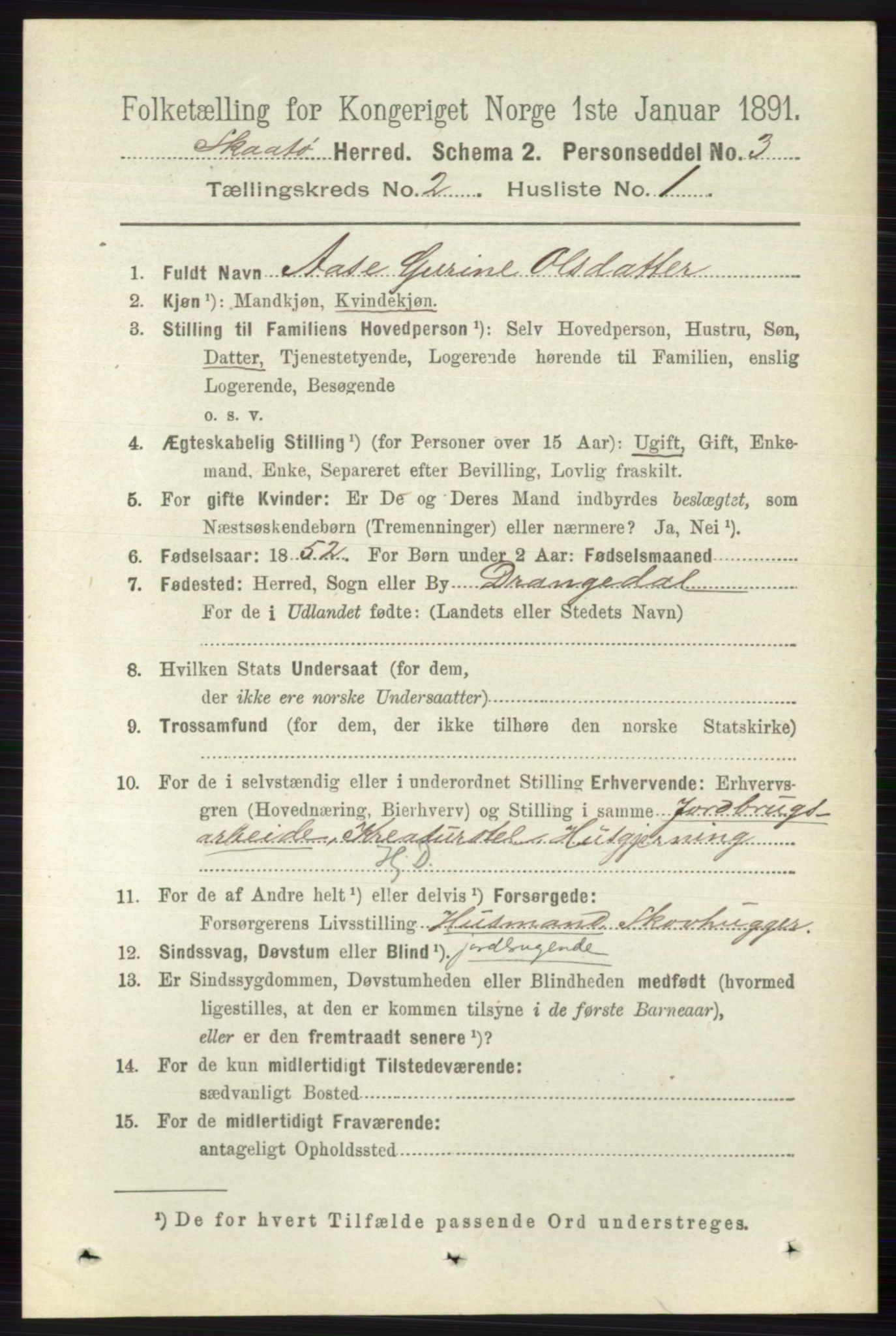 RA, 1891 census for 0815 Skåtøy, 1891, p. 421