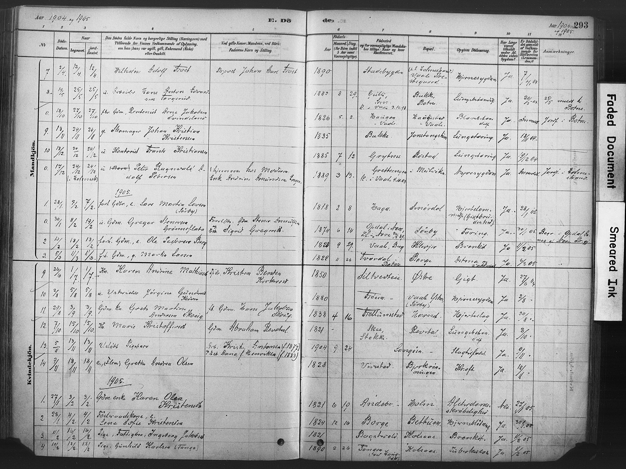 Våle kirkebøker, AV/SAKO-A-334/F/Fa/L0011: Parish register (official) no. I 11, 1878-1906, p. 293