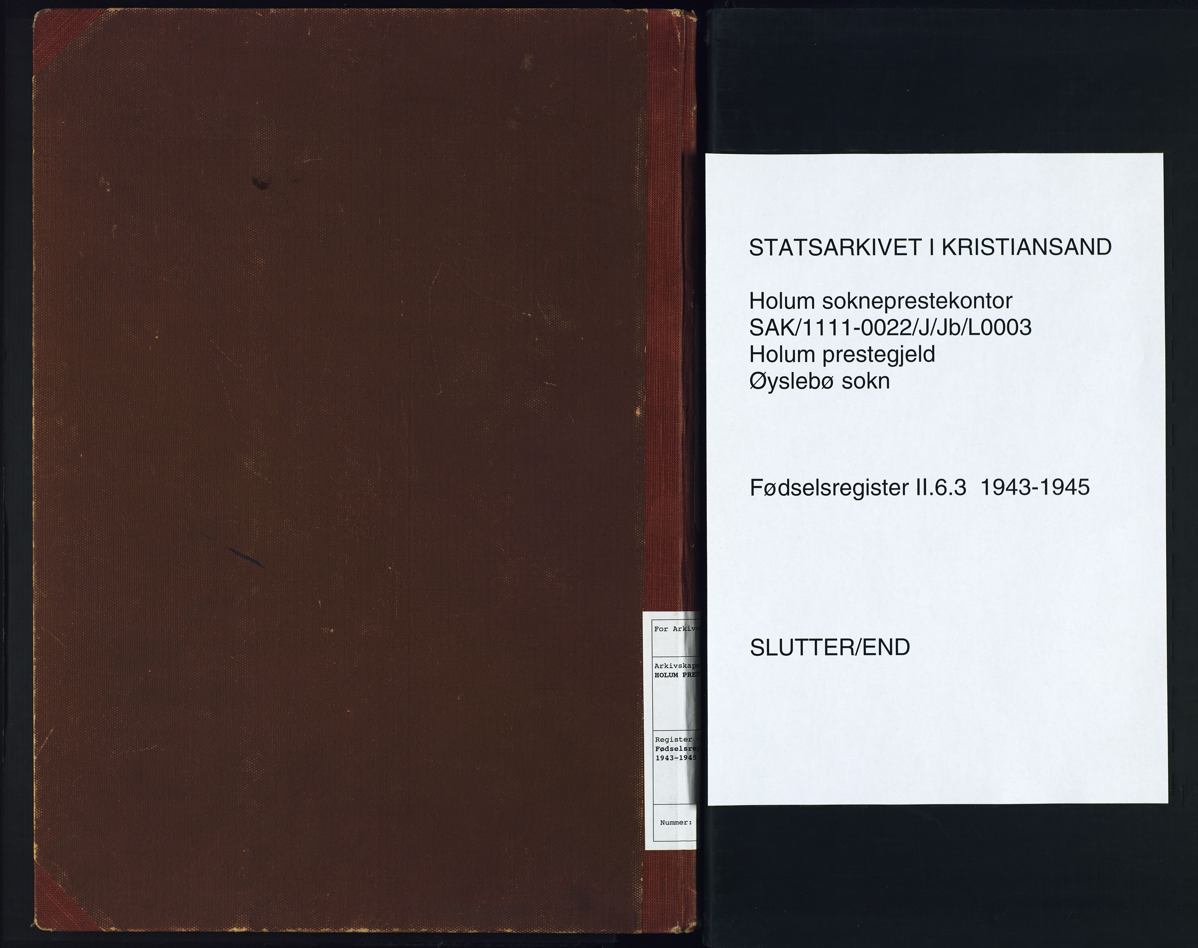 Holum sokneprestkontor, AV/SAK-1111-0022/J/Jb/L0003: Birth register no. II.6.3, 1943-1945