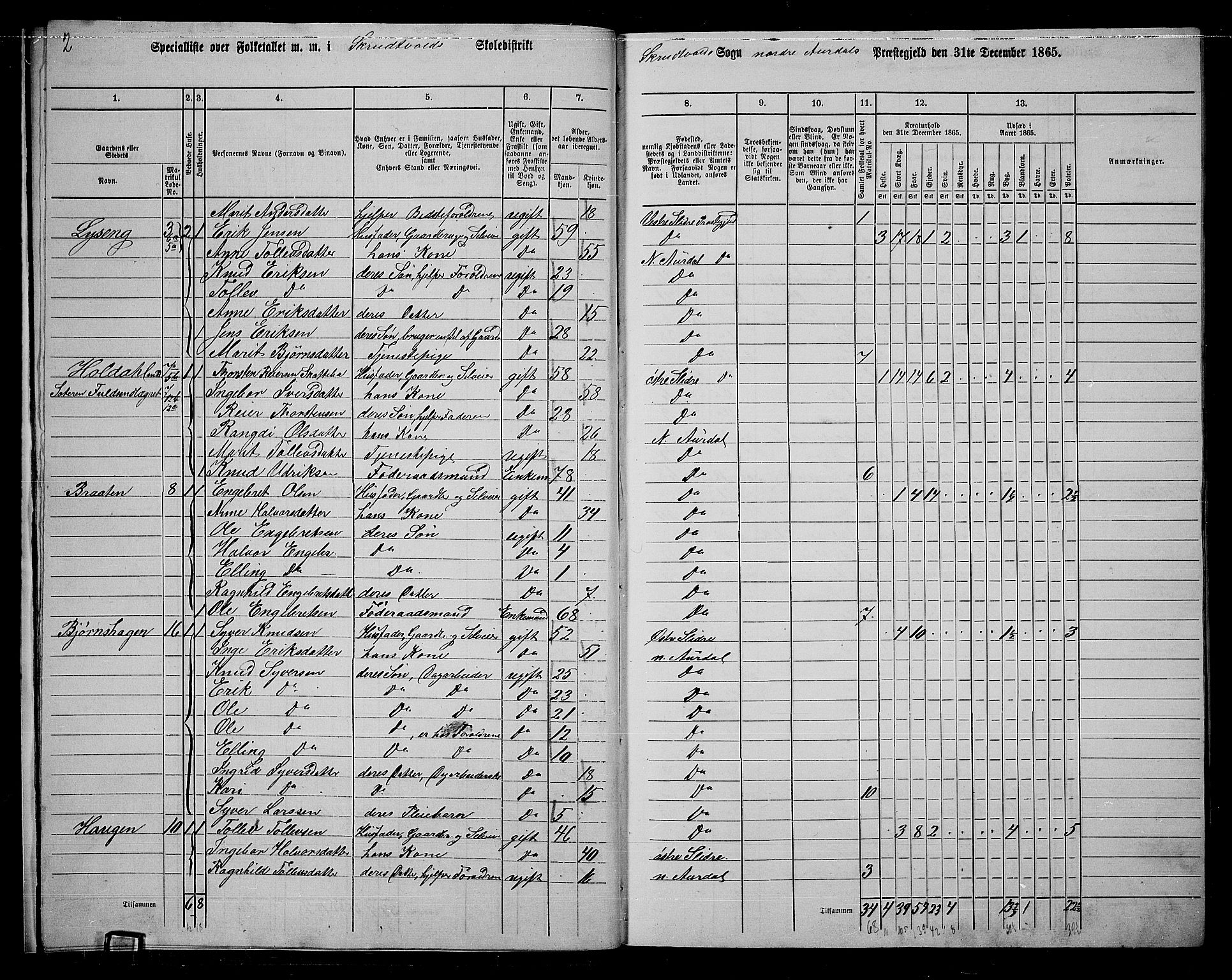 RA, 1865 census for Nord-Aurdal, 1865, p. 14