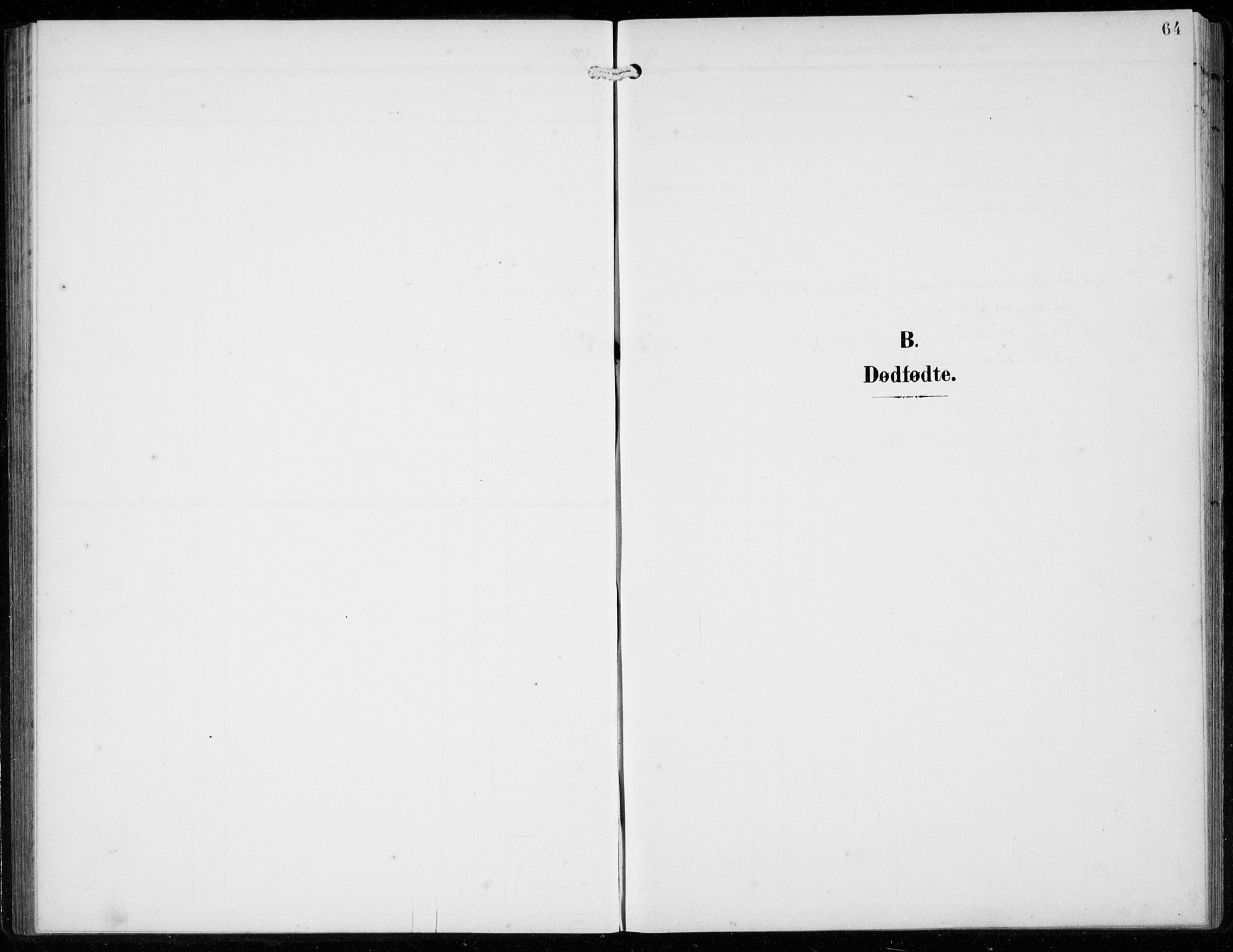 Ullensvang sokneprestembete, SAB/A-78701/H/Hab: Parish register (copy) no. F  1, 1902-1935, p. 64