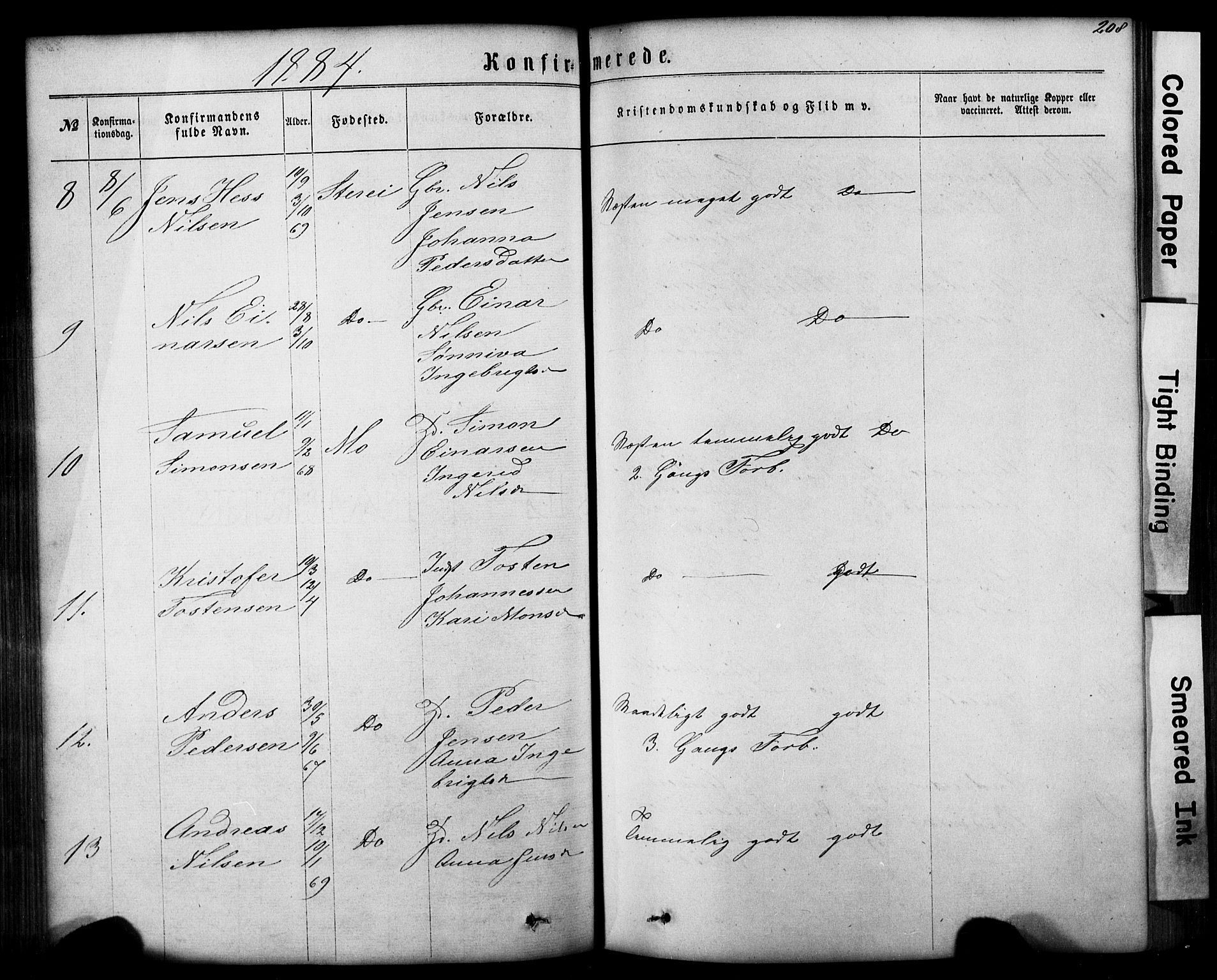 Hafslo sokneprestembete, SAB/A-80301/H/Hab/Haba/L0001: Parish register (copy) no. A 1, 1866-1908, p. 208