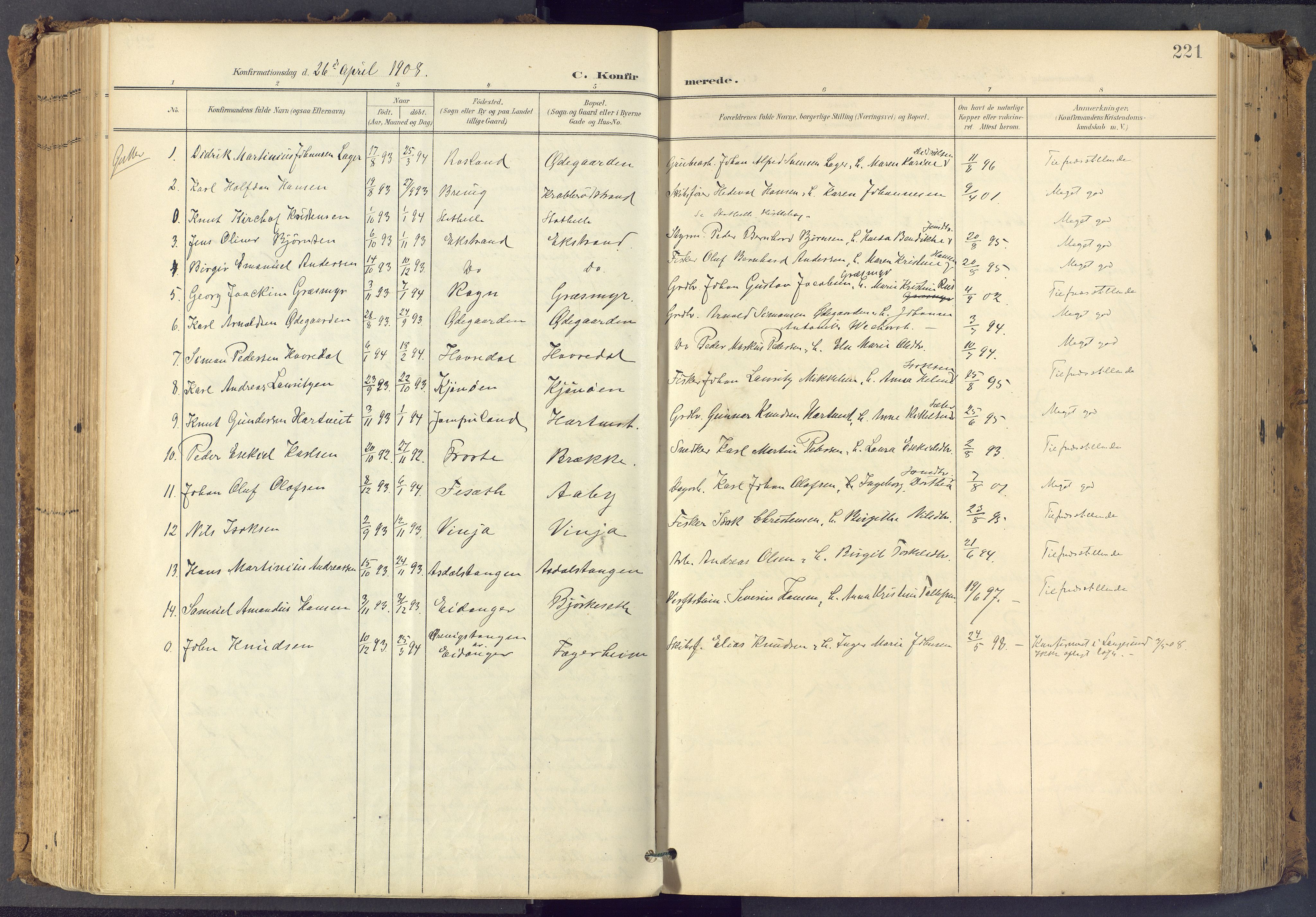 Bamble kirkebøker, SAKO/A-253/F/Fa/L0009: Parish register (official) no. I 9, 1901-1917, p. 221