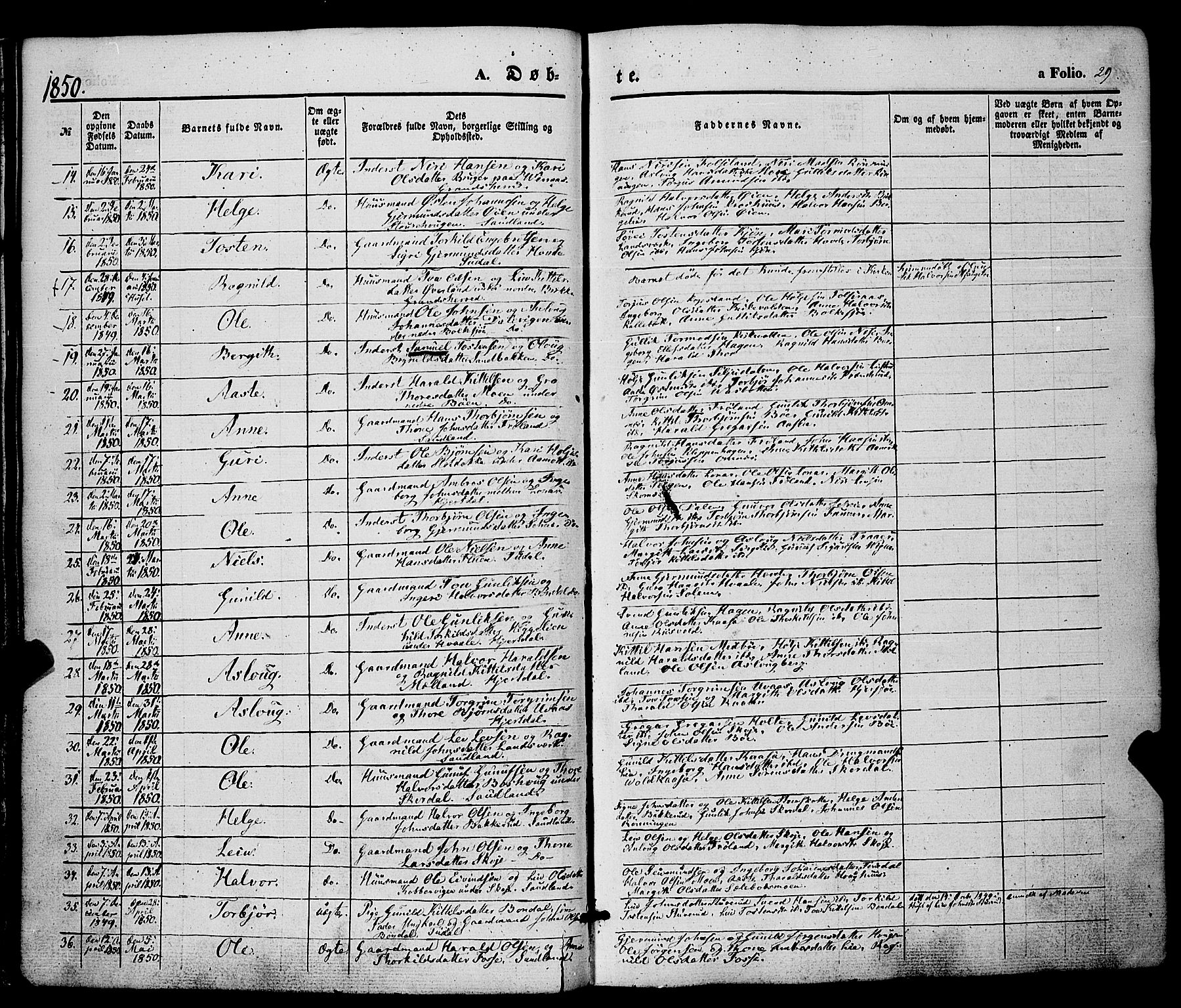 Hjartdal kirkebøker, SAKO/A-270/F/Fa/L0008: Parish register (official) no. I 8, 1844-1859, p. 29