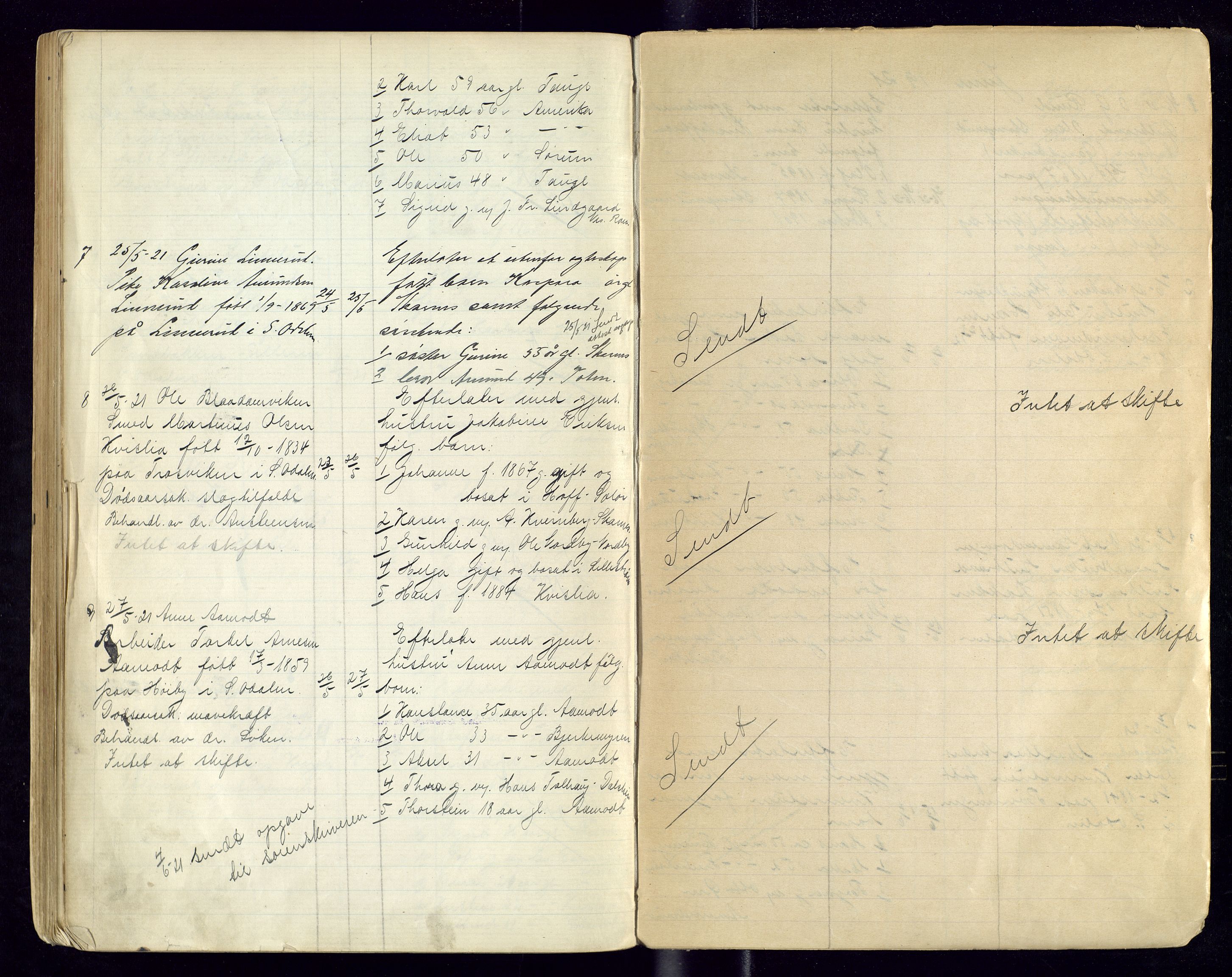 Sør-Odal lensmannskontor, AV/SAH-LHS-022/H/Hb/L0002/0002: Protokoller over anmeldte dødsfall / Protokoll over anmeldte dødsfall, 1915-1921