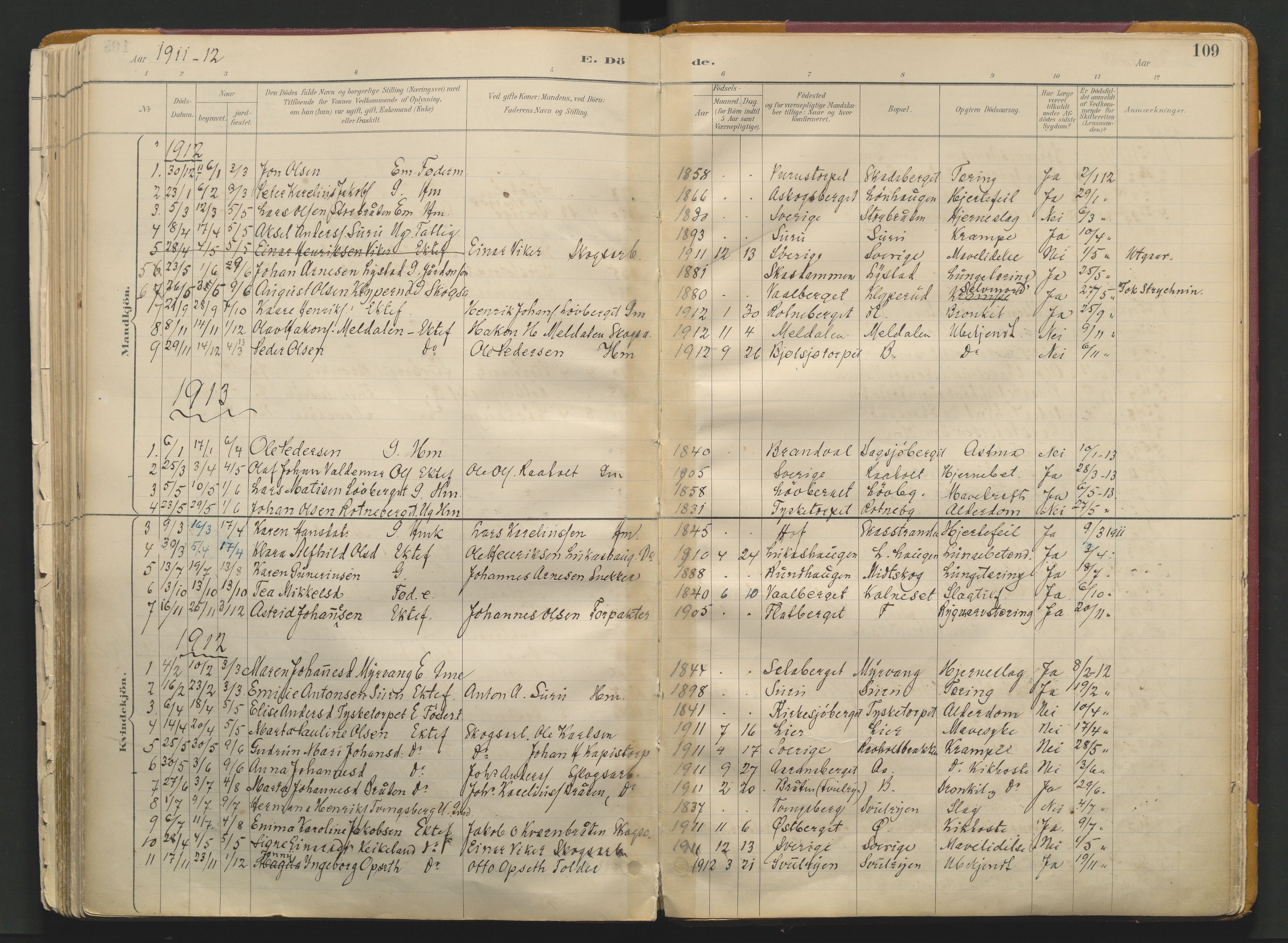 Grue prestekontor, SAH/PREST-036/H/Ha/Haa/L0017: Parish register (official) no. 17, 1892-1936, p. 109