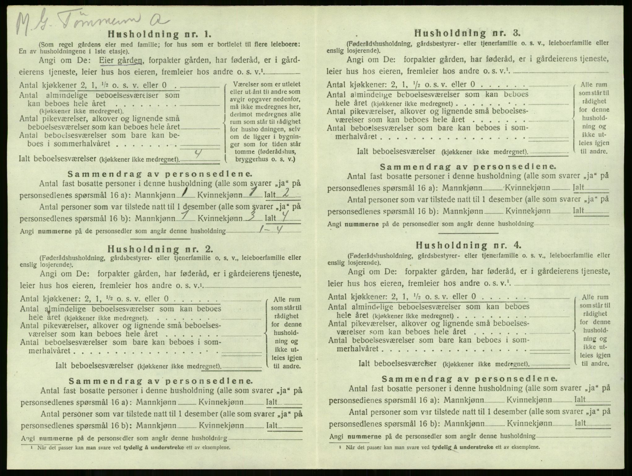 SAKO, 1920 census for Stokke, 1920, p. 236