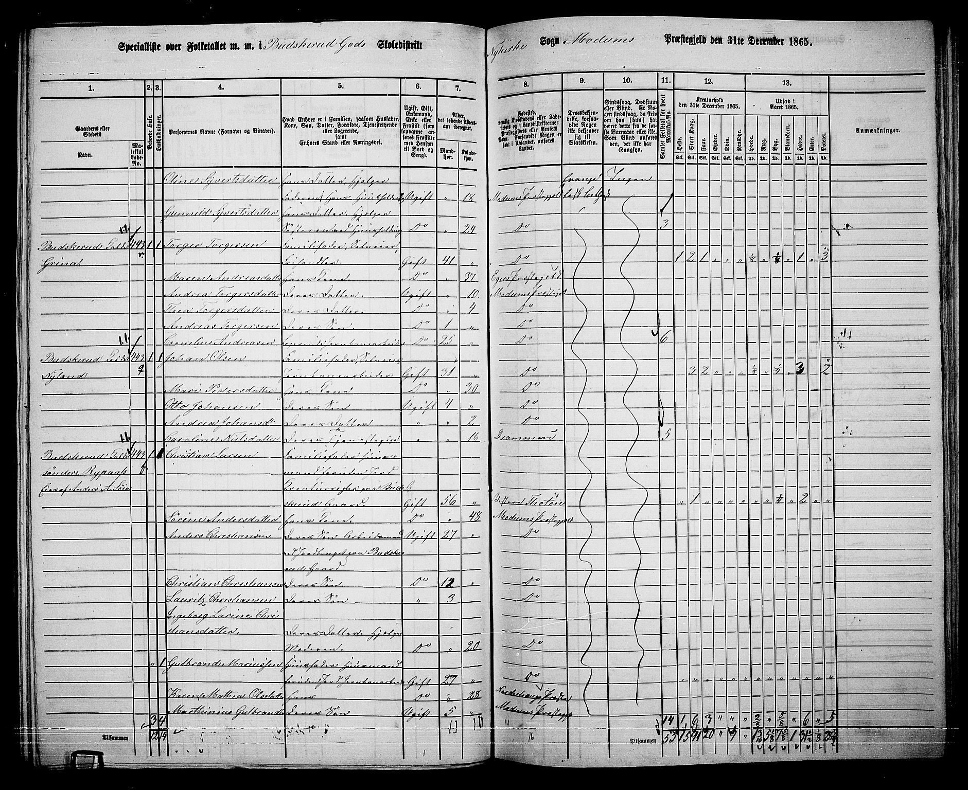 RA, 1865 census for Modum, 1865, p. 245